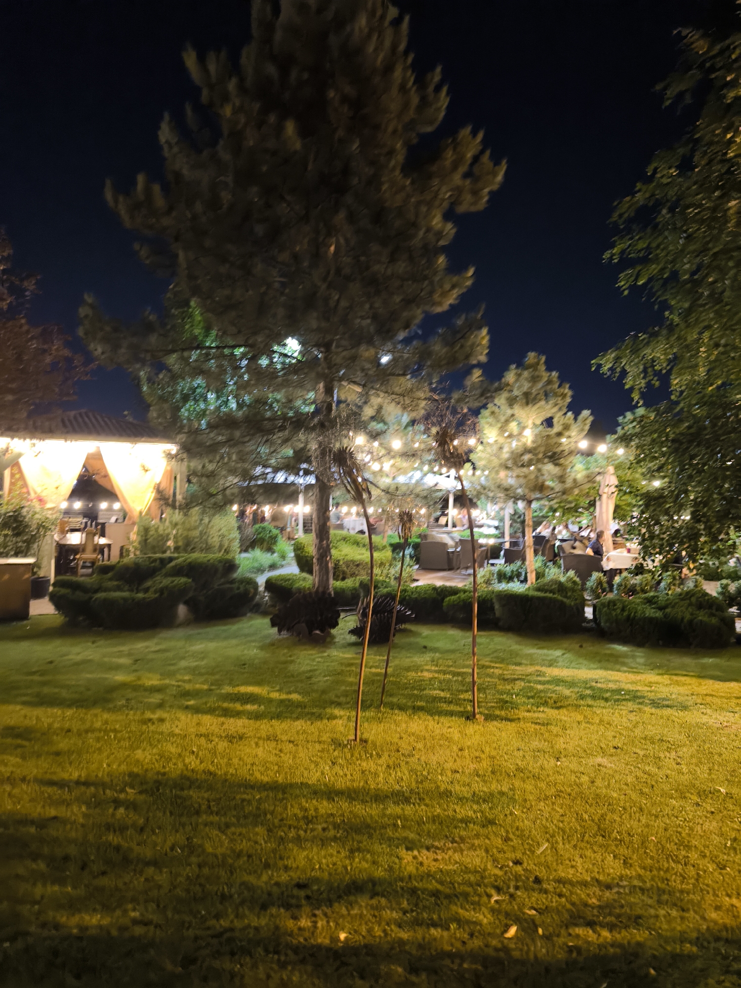 An outdoor dining area is depicted at night, illuminated by string lights. In the foreground, a well-maintained lawn is visible, with shadows cast by trees and some upright wooden stakes. Beyond the lawn, meticulously trimmed bushes form decorative mounds. In the mid-ground, several trees are present, their branches adorned with the aforementioned string lights. Behind the trees, an open-air structure with yellow drapes and tables and chairs is set up, suggesting it is a restaurant or cafe. People are seated at some of the tables. The background is dark, indicating a night scene, with the sky being a deep blue or black. The overall impression is of a restaurant or event space designed for evening ambiance.