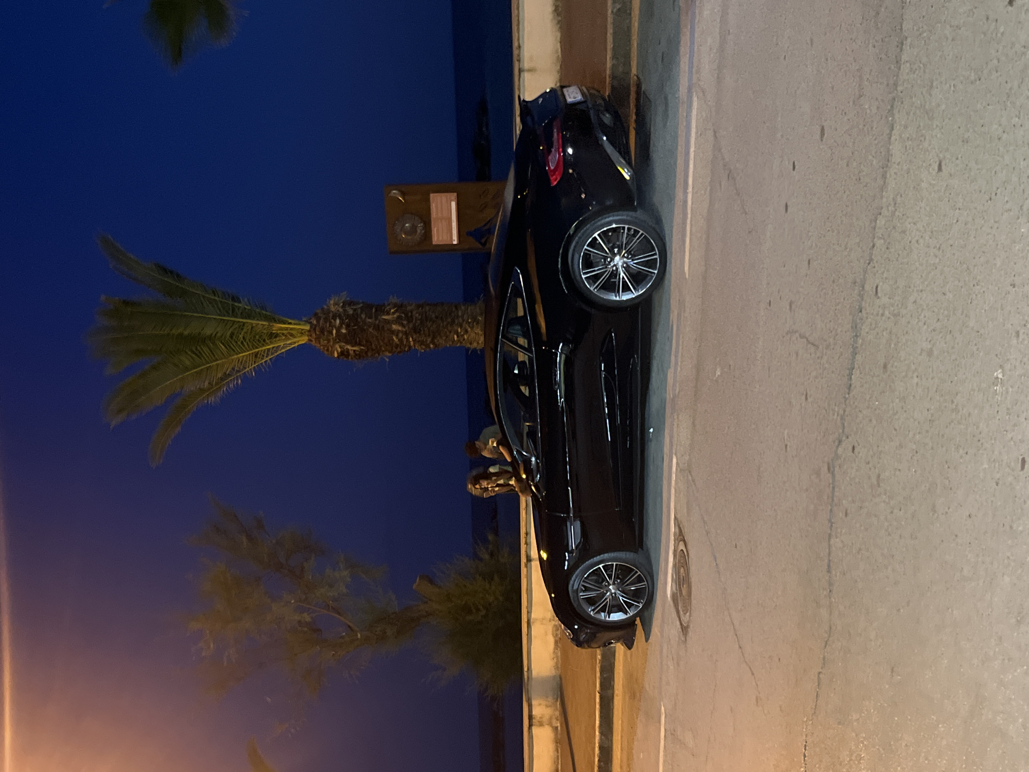 A black car is parked on a paved street in Marina di Casal Velino, Italy, near the coast. The car is parked next to a monument and a palm tree. Two individuals are seated inside the car. The sky is dark, indicating it is night.