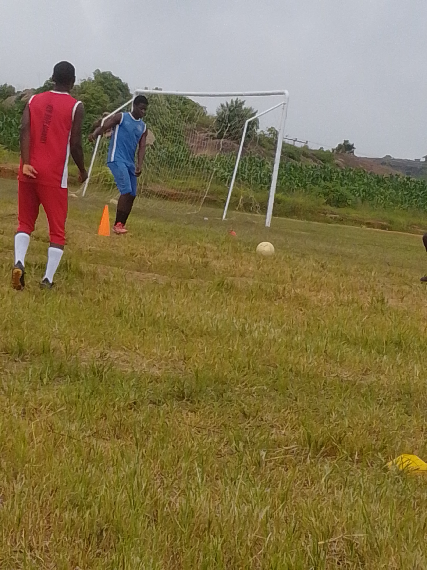 A full shot captures two young men on a grass field in front of a soccer goal. On the left, a man in a red sleeveless shirt and red pants with white socks is facing away from the camera, his left arm bent at the elbow. To his right, a man in a blue sleeveless shirt and blue shorts is looking down, his arms in a mid-stride pose. A soccer ball rests on the grass between them, and an orange cone is situated near the man in red. The background shows a green net, trees, and a hillside with agricultural fields under an overcast sky. The image is taken from a slightly elevated angle.