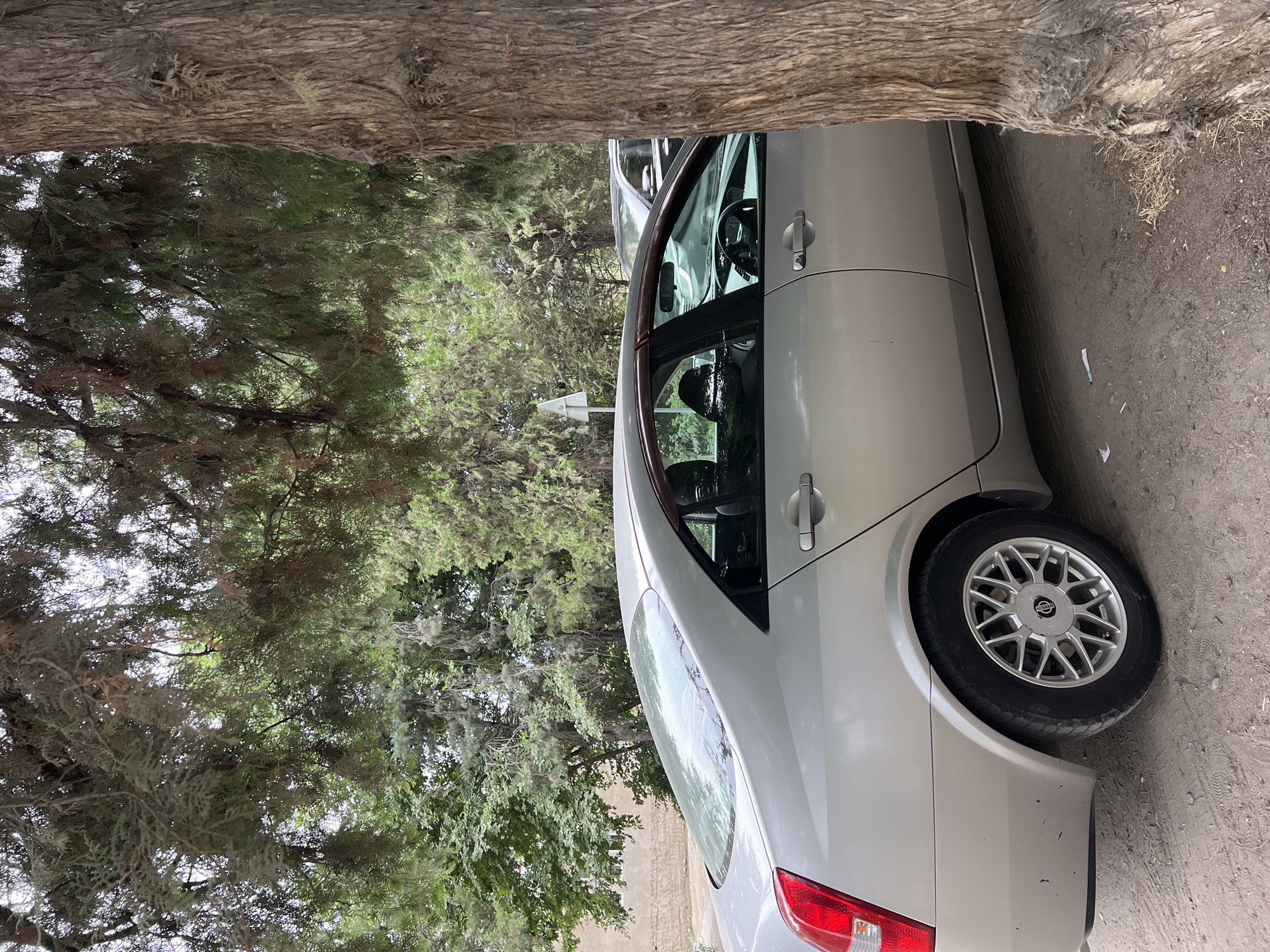 A silver sedan is parked on a dirt road next to a large tree with a rough bark texture. The car is a Nissan Primera, identifiable by its taillights and wheel rims. The background shows a dense green forest and a building made of light-colored stone. A white triangular traffic sign is visible behind the car. The scene is consistent with an outdoor parking area in a residential or semi-rural setting, possibly in the city of Kant, Kyrgyzstan.