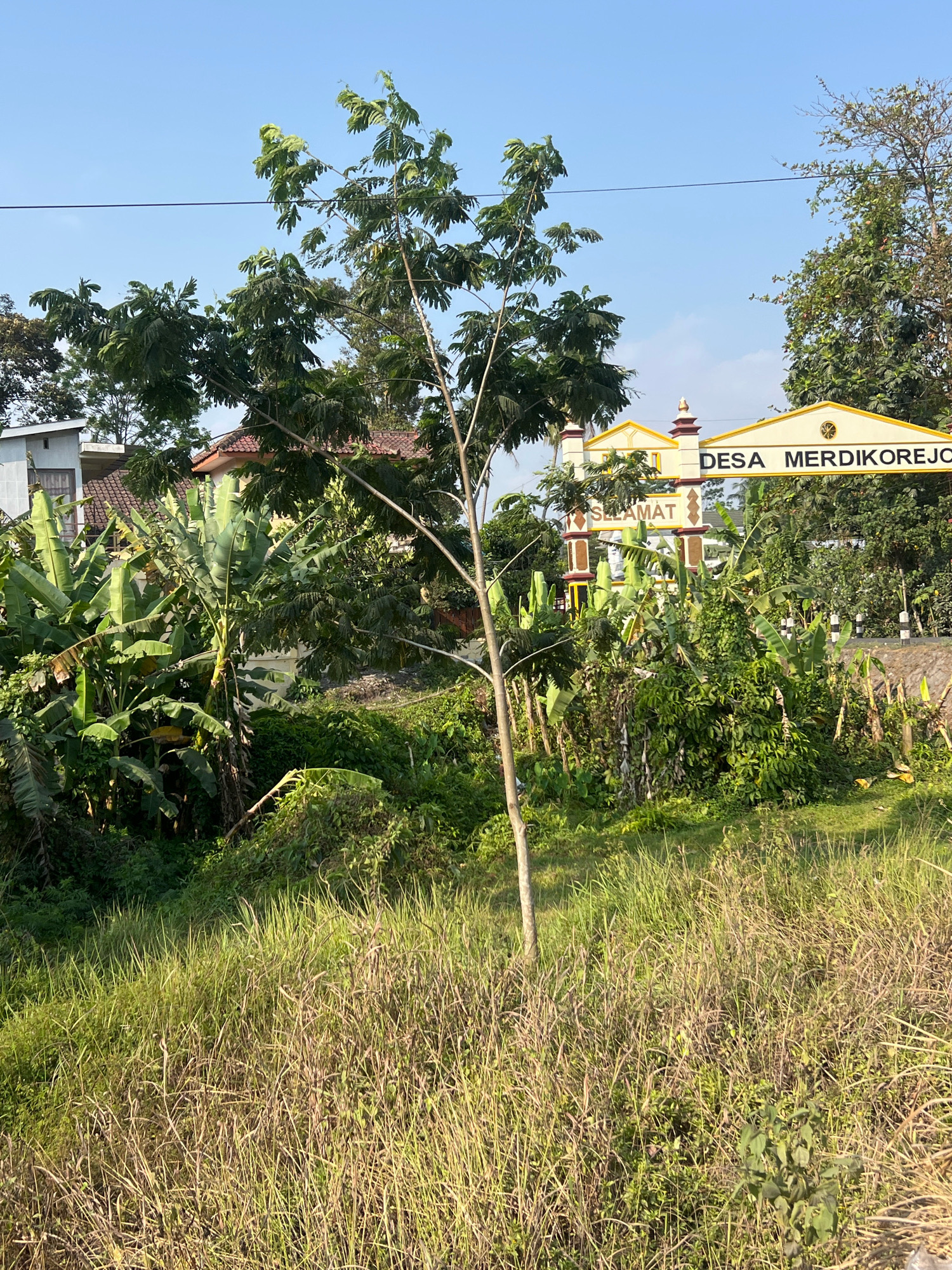 The image shows the entrance to Desa Merdikorejo in Tempel, Indonesia. A yellow archway with the words "DESA MERDIKOREJO" is visible, along with the word "SELAMAT" on a smaller arch below. Lush green vegetation, including banana trees and tall grasses, dominates the foreground and surrounds the entrance. Buildings with red tile roofs are visible behind the foliage. The sky is clear blue, and a power line stretches across the upper part of the frame. The scene appears to be outdoors during daylight hours.