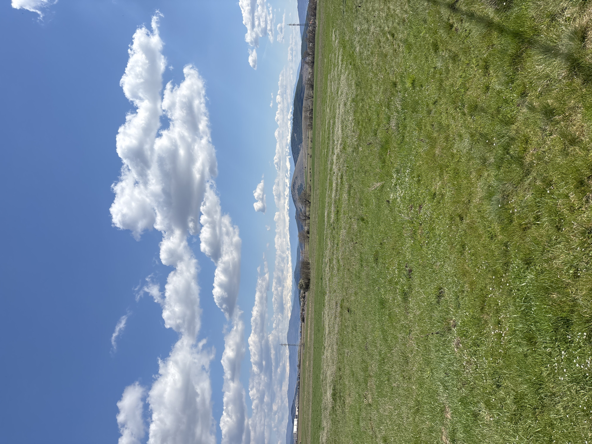 The image depicts a grassy field in Червена могила, Bulgaria under a blue sky with scattered white clouds. Mountains are visible in the distance. A power line tower is also present.