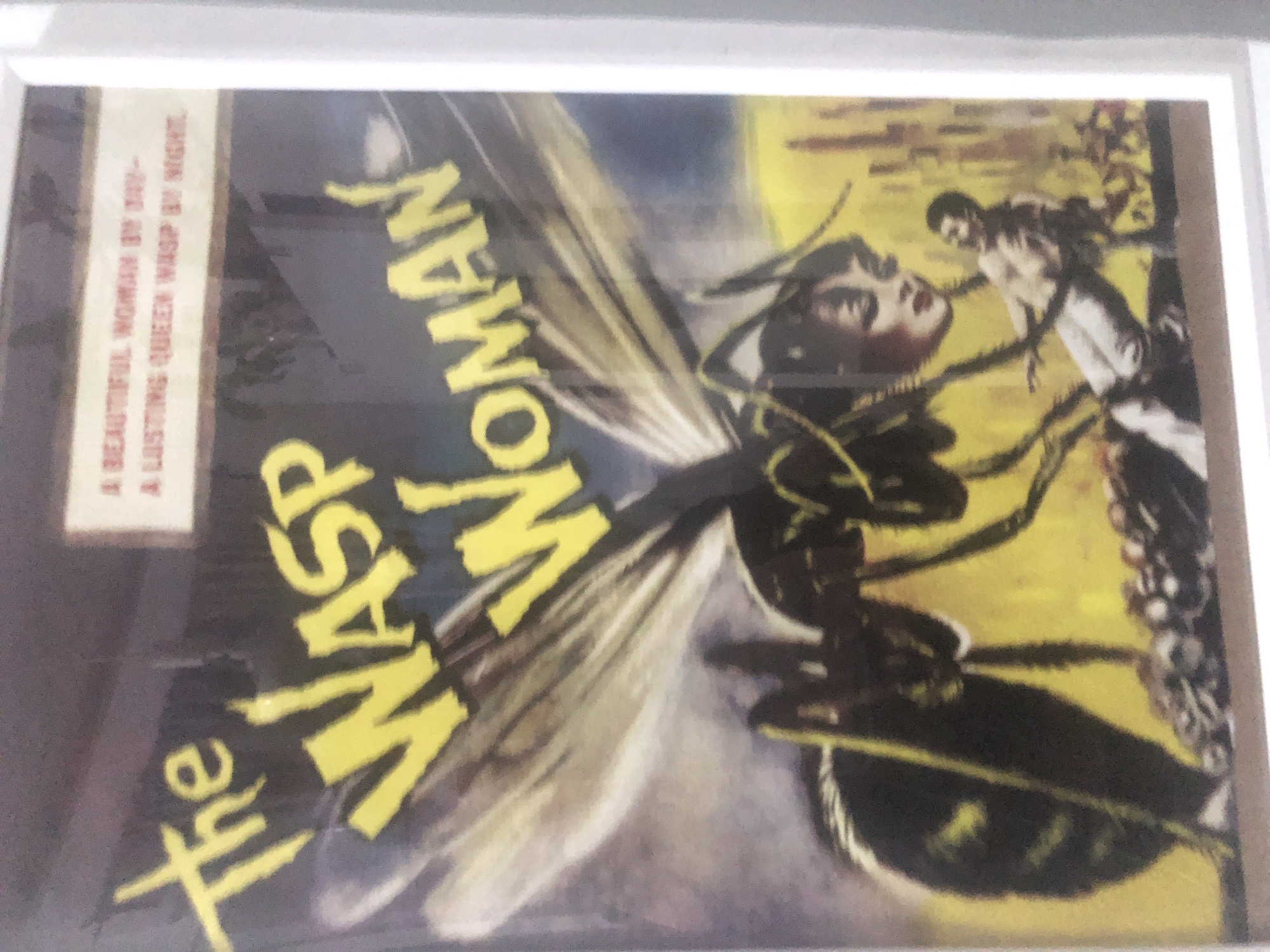 The image shows a framed movie poster for "The Wasp Woman." The title is in yellow lettering and the poster depicts a woman with wasp wings and a wasp body, with a smaller figure of a man fleeing in the background against a yellow backdrop. The poster also contains text that reads, "A Beautiful Woman by Day - A Lusting Queen Wasp by Night." The location is unknown.