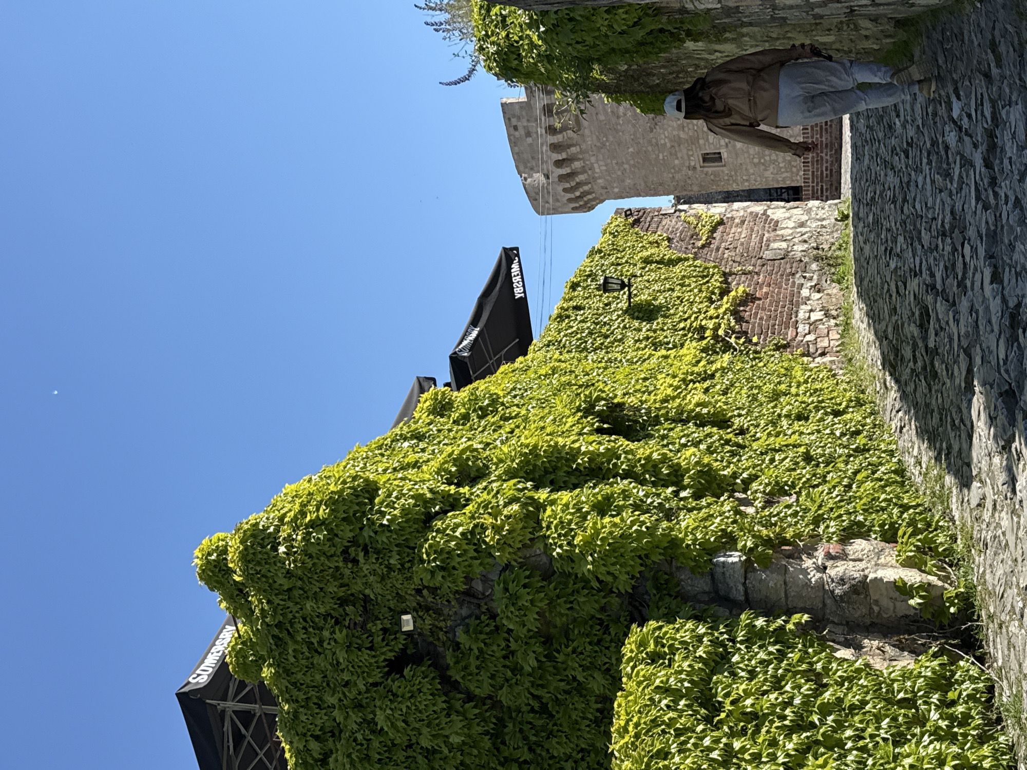 The image shows a street scene in Belgrade, Serbia, featuring a stone pathway flanked by structures covered in dense green ivy. A person wearing light-colored pants, a jacket, and a white cap walks on the pathway. A stone tower is visible in the background. A black awning with the word "SOMERSBY" printed on it extends from one of the buildings. The sky is blue and clear. The architecture is historic and appears to be part of a fortification or old town area.