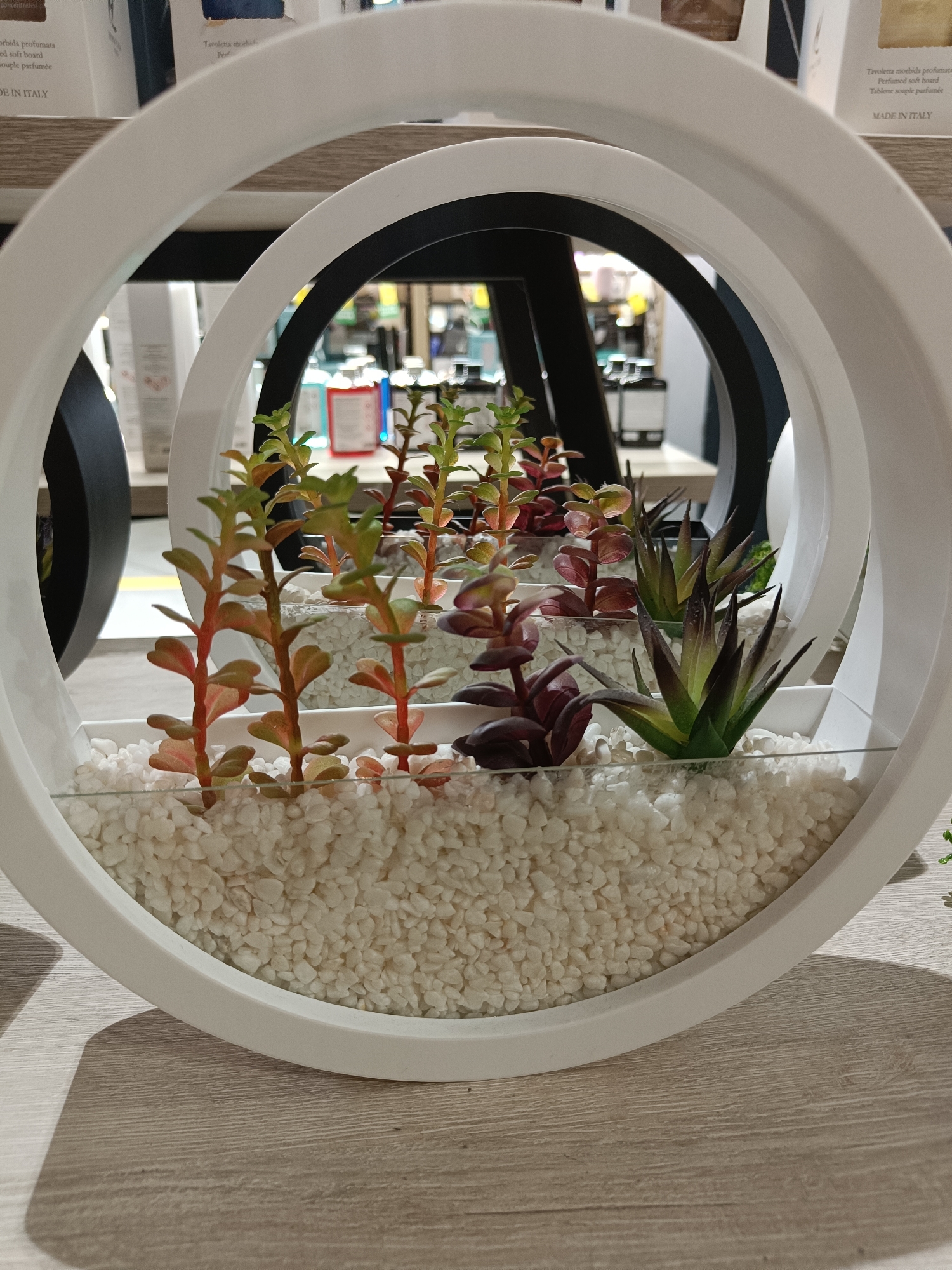 The image displays a close-up, eye-level view of a decorative planter containing several artificial succulent plants. The planter is white and features a spiral or looped design. The plants are arranged in white pebbles. In the background, shelves are visible with various products, some of which appear to be boxes or packaging for scented items. The lighting suggests an indoor environment, possibly a retail store. The image does not provide any information about the city of Vinnytsia, Ukraine, or any people, actions, or interactions.