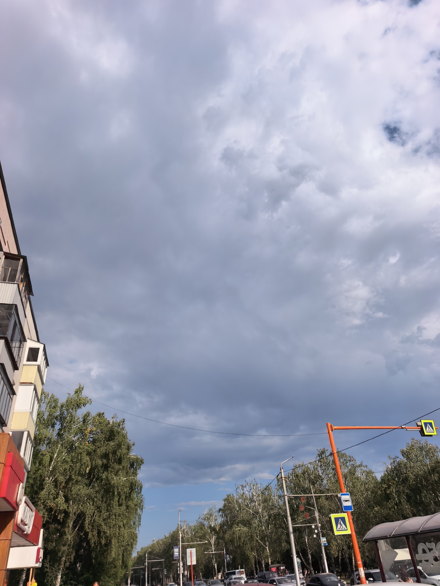 The image depicts a street scene in Sterlitamak, Russia, under a cloudy sky. On the left, a multi-story building with balconies is visible. A large tree with dense green foliage stands in the middle ground. The street itself is lined with trees on both sides, creating a canopy effect. Traffic signs, including pedestrian crossing signs and a bus stop sign, are present. Several cars are visible on the road, indicating traffic. A bus stop shelter is partially visible on the right side of the image. The overall atmosphere suggests an urban environment on a day with overcast weather.