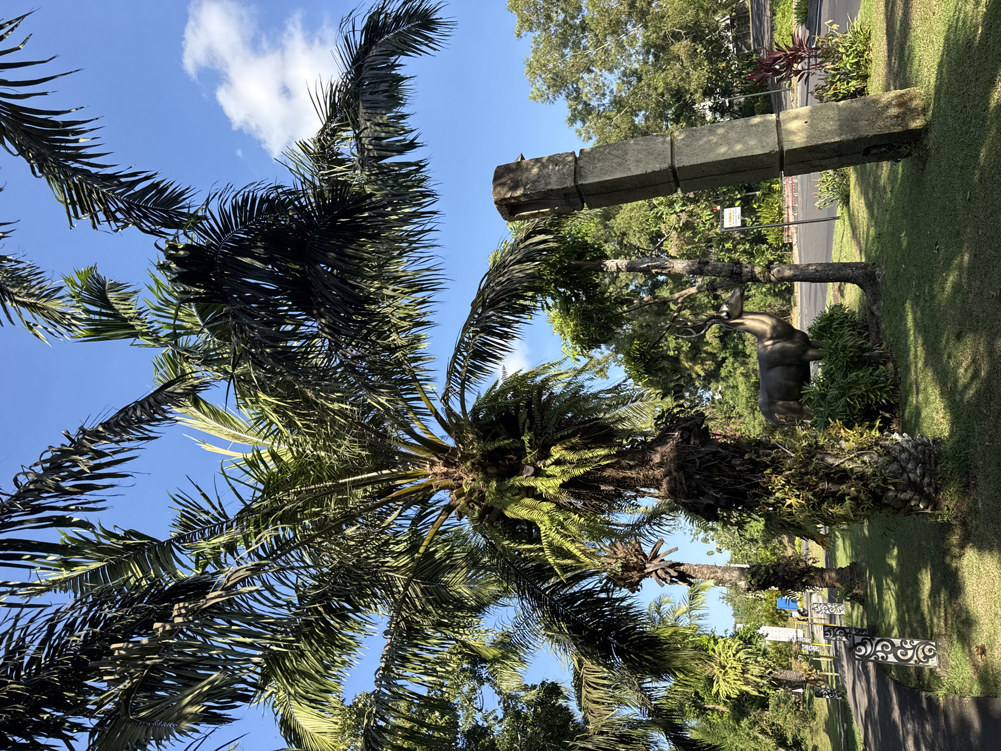 This image depicts a sunlit outdoor scene in Kuta Selatan, Indonesia, characterized by prominent tropical vegetation and man-made structures. The foreground features a manicured grassy area, with a dark paved walkway on the far left bordered by several short, dark bollards adorned with white spiral patterns.
In the mid-ground, multiple palm trees dominate the frame. A large palm tree with a thick trunk and numerous green fronds occupies the central and left-mid sections, its trunk hosting epiphytic ferns and other plants. Other palm trees, some with drier-looking fronds and visible trunks, extend into the background. Sunlight filters through the palm fronds, creating dappled shadows on the grass.
To the right, a tall, multi-segmented concrete pillar, appearing weathered and slightly angled, stands vertically. It is composed of stacked, rectangular concrete blocks. Directly to the left of this pillar, partially obscured by foliage, is a dark-colored statue of a deer with antlers, facing left. Beyond the deer statue and concrete pillar, a paved road is visible, with sparse traffic barriers in the background. Additional trees and dense green foliage form a natural backdrop.
The upper portion of the image displays a clear, bright blue sky with scattered white cumulus clouds, particularly noticeable in the upper right quadrant. No people are present in the scene.