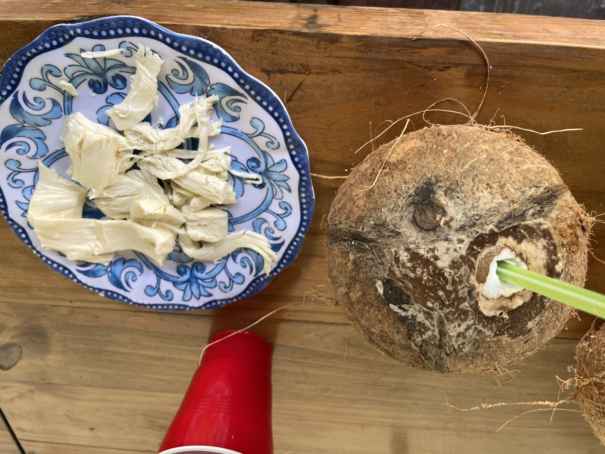The image shows a top-down view of a wooden surface, likely a table. On the left, there is a plate with a blue and white floral design, holding a pile of shredded, light-colored food, possibly cheese or tofu. Next to the plate, there is a brown coconut with a green straw inserted into it. Near the coconut, there is a red plastic cup. The location is Unknown, Unknown. No people are visible in the image.