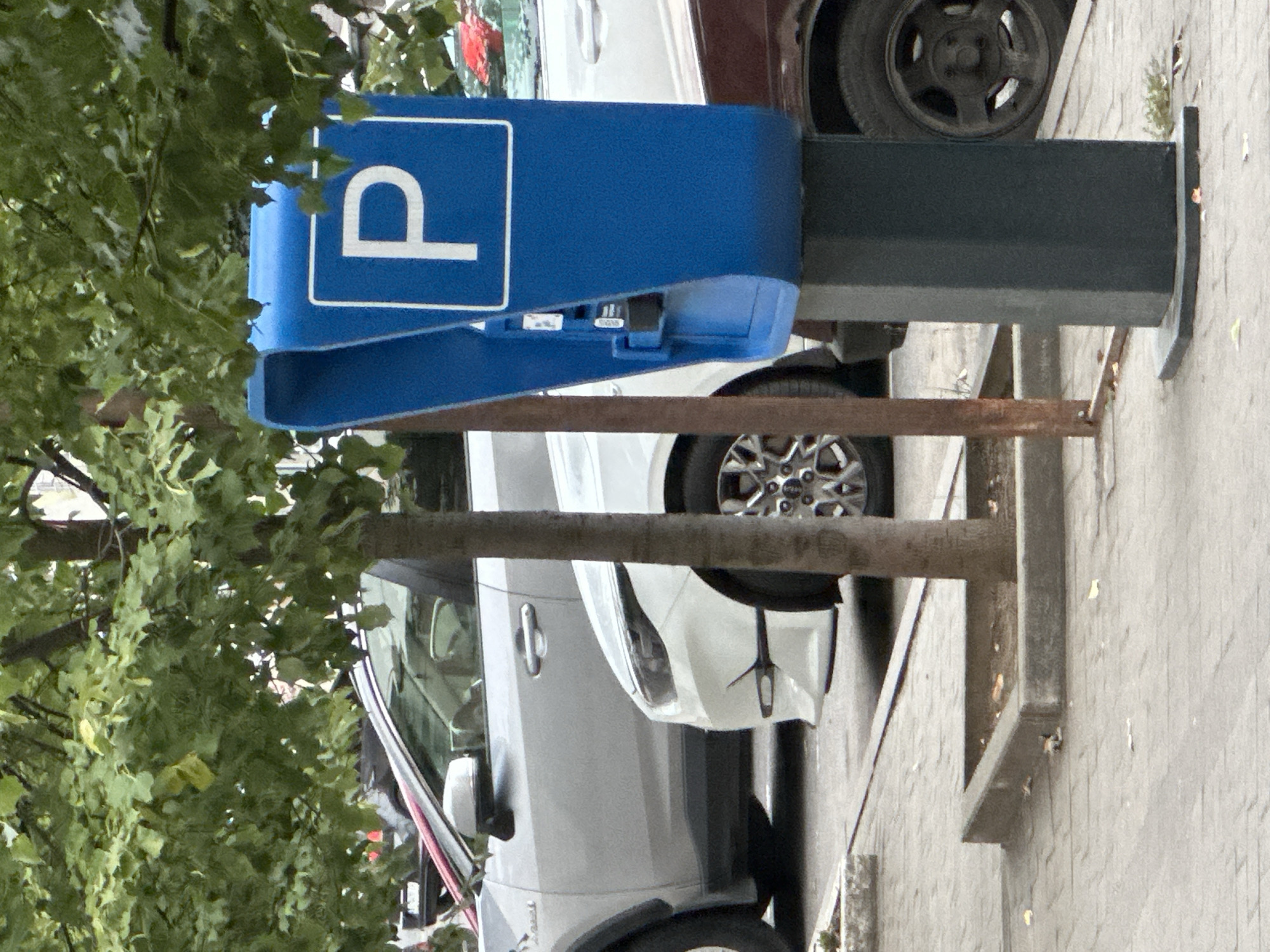 The image depicts a street scene in Uzhhorod, Ukraine, with a focus on a blue parking payment machine. The machine is located on a paved sidewalk, with a dark gray base and a distinctive blue headpiece featuring a white "P" symbol for parking. The machine appears to have a slot for payment and a screen or display.
Several cars are visible in the background, parked along the street. A silver SUV is parked behind a light-colored vehicle, which is partially obscured by trees. A white car is also prominently featured, parked closer to the viewer. To the right of the parking machine, the wheel and lower body of a dark-colored car are visible.
The environment is characterized by the presence of trees with green foliage, casting shadows on the scene. The ground is a mixture of paved walkway and a small, raised planter box containing soil and some scattered debris. The overall impression is of a typical urban streetscape, likely in a parking area. There are no people or discernible actions taking place in the image.