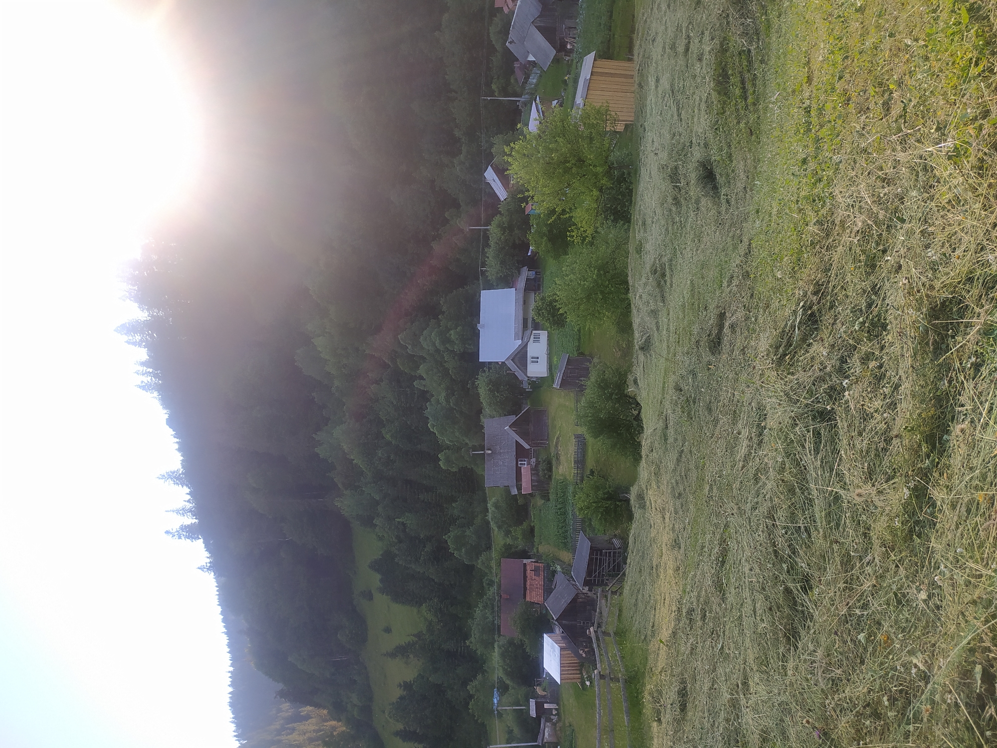 The image depicts a rural village in Hoverla, Ukraine, nestled at the foot of a heavily forested mountain. The sun is setting, casting a bright glare and lens flare into the upper right portion of the scene, partially obscuring the mountain and sky. In the foreground, a freshly cut hayfield occupies the lower half of the frame, with loose hay strewn across the grass. A wooden fence runs horizontally across the lower left corner.
Beyond the hayfield, a cluster of houses and outbuildings forms a small settlement. The buildings are predominantly constructed of wood and have pitched roofs, some made of metal and others of shingles. Some of the structures appear to be homes, while others seem to be sheds or barns. A few small gardens with green vegetation are visible between the buildings.
The mountain behind the village is covered in dense green forest, with the trees varying in shade. The sky above is a pale, hazy blue, with the sunlight creating a bright glow. The overall impression is of a quiet, agricultural community set against a natural, mountainous backdrop. There are no people visible in the image.