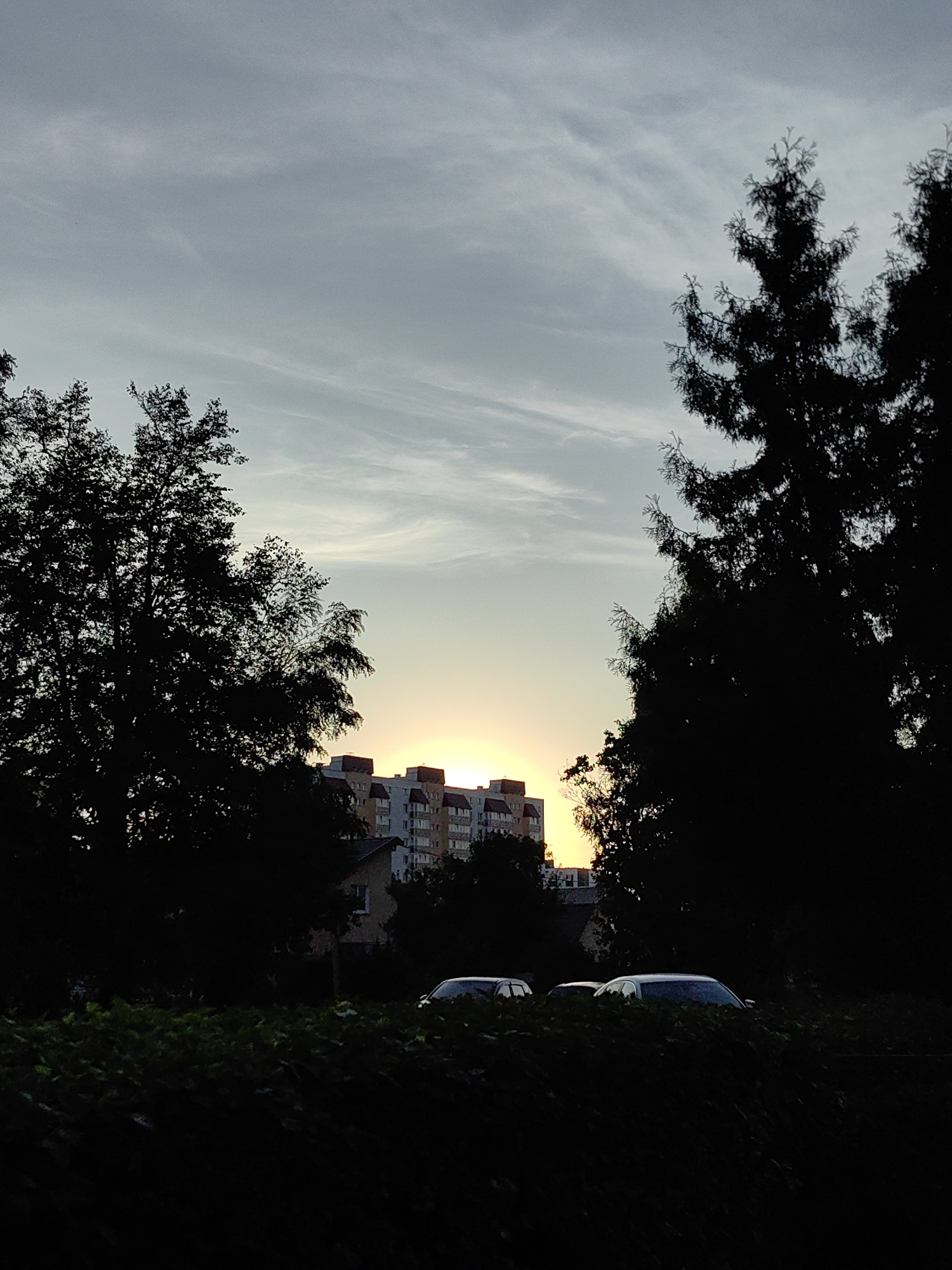 The image captures a silhouetted cityscape at dusk, with a warm sunset casting a soft glow behind a multi-story apartment building. The sky is a gradient of pale blue and gray, with wispy clouds. Two large, dark trees frame the scene from the left and right, their branches creating intricate silhouettes against the sky. In the foreground, a dense hedge obscures much of the ground level, but the tops of two cars, a light-colored sedan and a darker vehicle, are visible peeking above the foliage. The overall impression is one of a quiet evening in an urban environment.