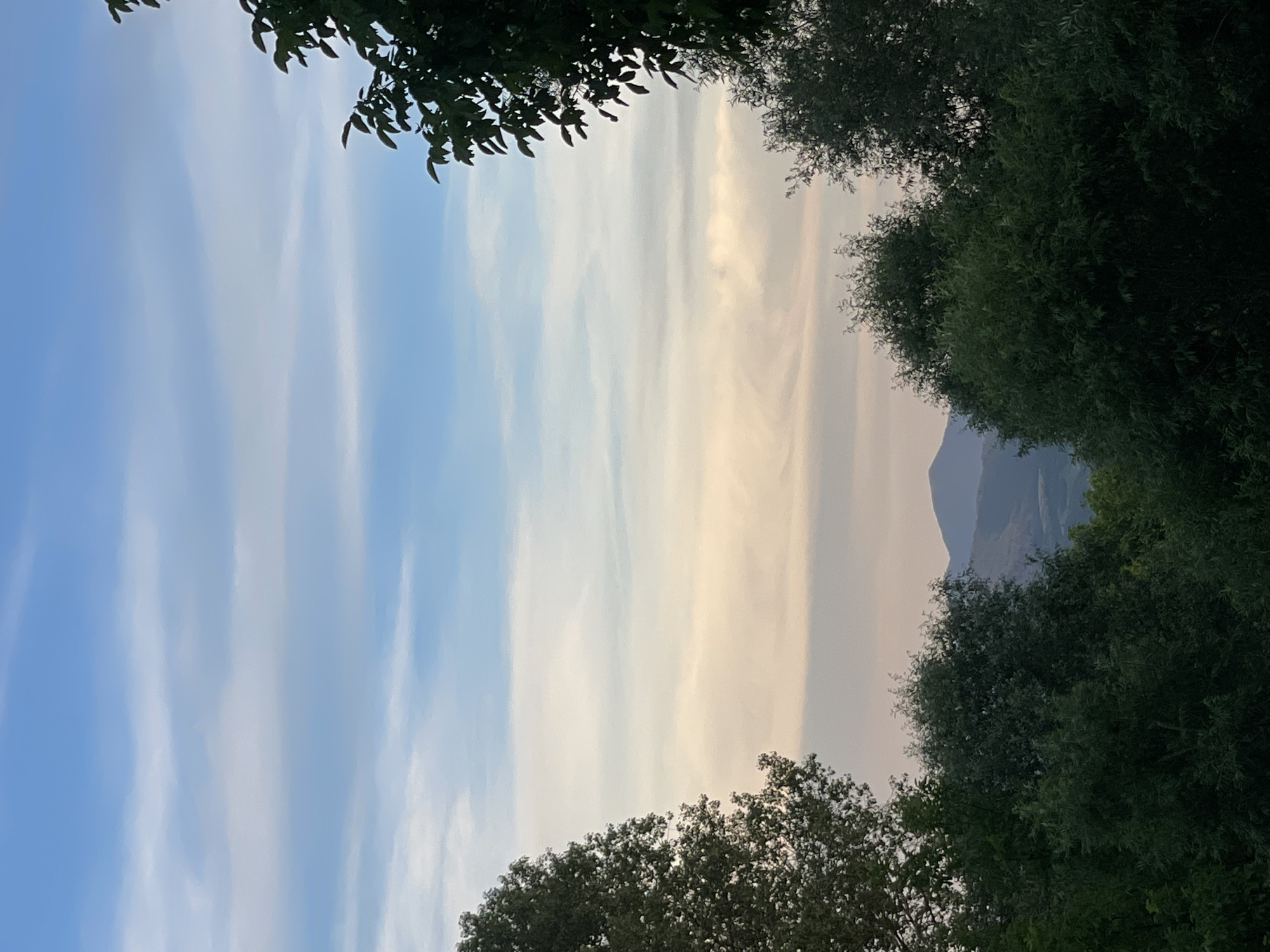 An outdoor, vertical, medium shot captures a serene landscape at dusk, framed by the dark silhouettes of trees. The foreground is dominated by lush, green foliage, creating a natural border on the left and right sides of the image. In the distance, rolling hills transition into the soft hues of the twilight sky. The sky itself is a canvas of pale blue, streaked with wispy, horizontal clouds that are tinged with a warm, peachy glow near the horizon, suggesting the last remnants of sunlight. The overall impression is one of tranquility and natural beauty, characteristic of the Valkosel region in Bulgaria. There are no people or discernible objects in the image, only the expansive natural environment.