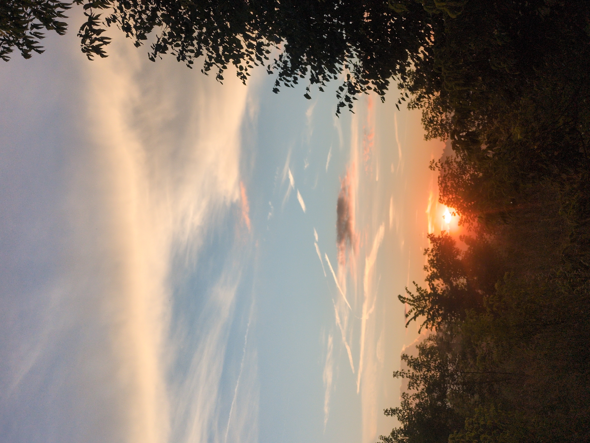 This is a photograph of a sunset over a treeline in Kulebaki, Russia. The sky is a gradient of colors, from pale blue at the top to warm oranges and pinks near the horizon. There are wispy clouds and contrails visible in the sky. The foreground is dominated by dark silhouettes of trees and foliage, with the sun appearing as a bright, orange orb peeking through the branches. The overall impression is one of a peaceful, natural scene at dusk.
