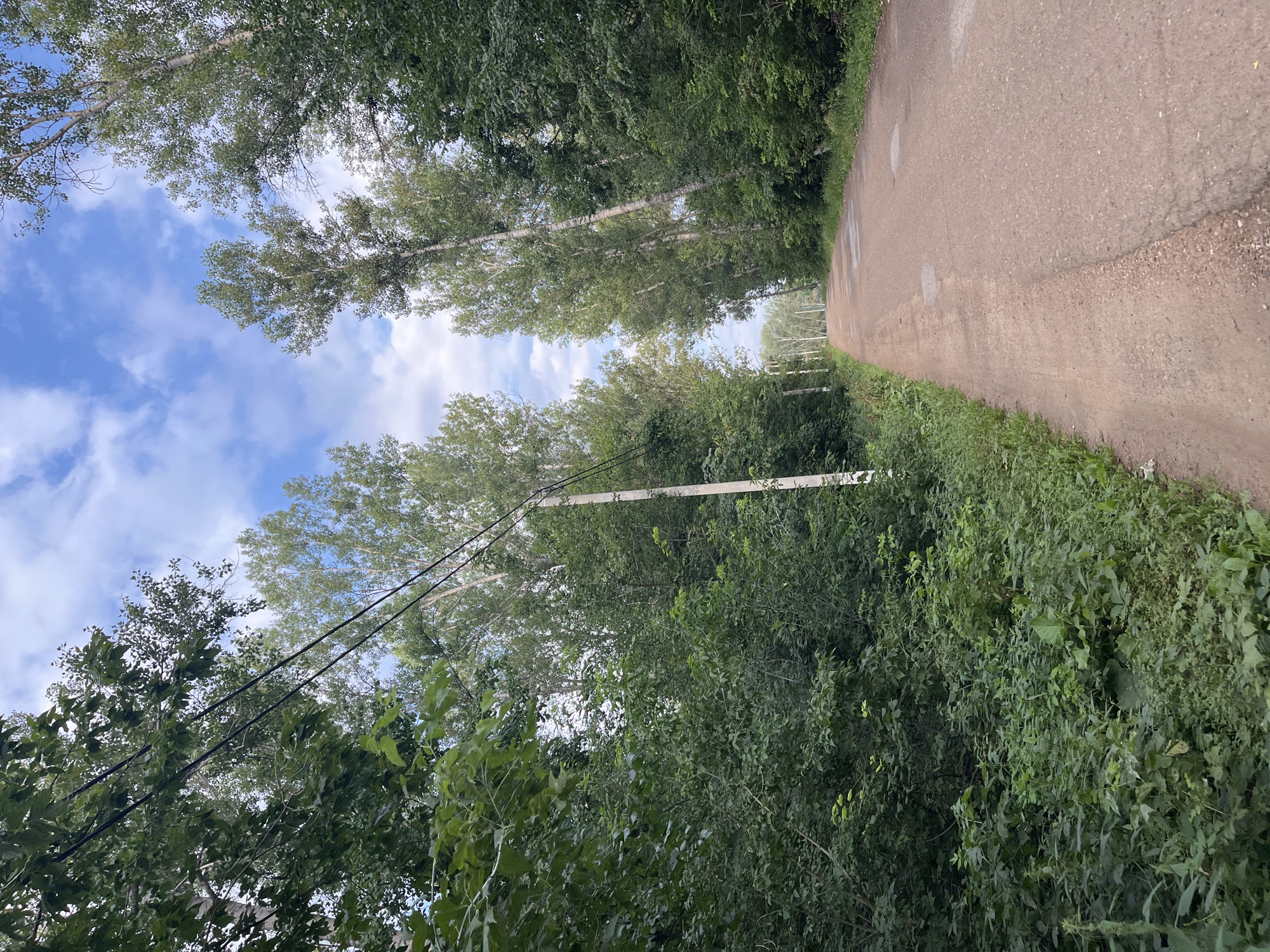 The image shows a dirt road lined with trees and greenery. The road appears to be in a rural or semi-rural area, possibly on the outskirts of a city. The sky is partly cloudy with a blue sky visible. There are no people or animals visible in the image. The overall impression is one of a peaceful, natural setting. The specific location of Blagoveshchensk, Russia cannot be determined from the image alone.