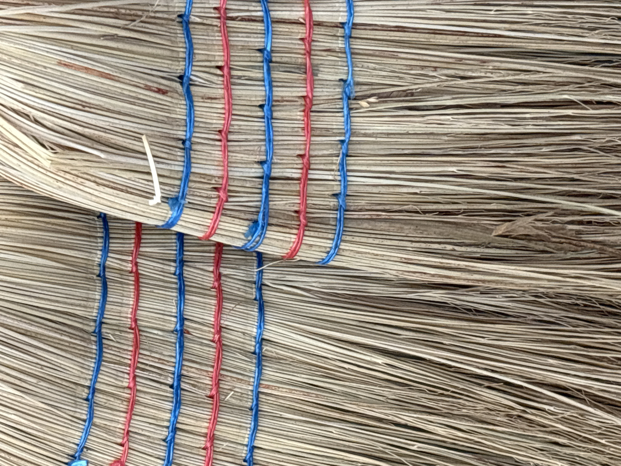 This is a close-up, detailed, forensic photograph of the bristles and binding of two brooms. The brooms are made of natural, straw-like material and are bound together with red and blue strings. The strings are wrapped horizontally around the broom heads, creating distinct bands. The bristles are thin and numerous, with a predominantly light brown and beige color. Some stray pieces of dried plant matter are visible among the bristles. The image is taken from a slightly angled perspective, focusing on the texture and construction of the brooms. The setting is not discernible beyond the objects themselves.