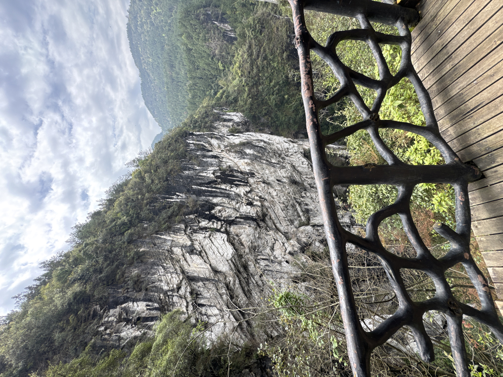 The image shows a steep, rocky cliff face covered in vegetation. The foreground features a wooden deck with a dark-colored, tree-branch-patterned railing. Part of the sky is visible above, with overcast conditions. The location is potentially near Zhuoshui, China, suggested by the landscape.