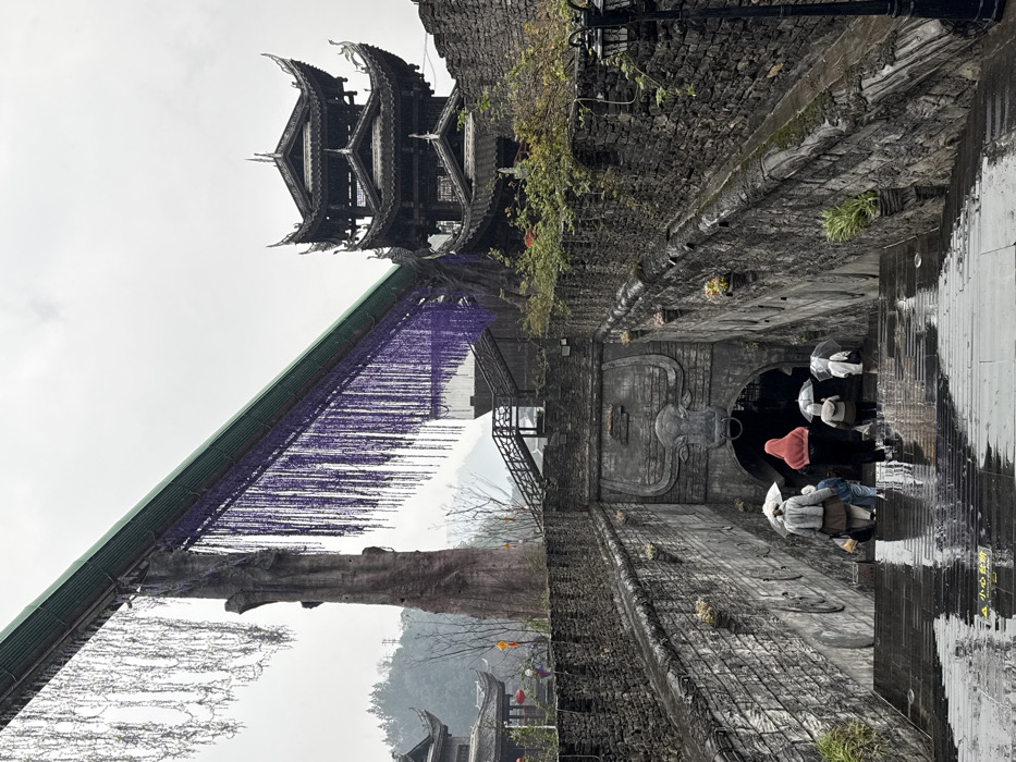 This image captures a wet, overcast day in Pengshui Miao and Tujia Autonomous County, China, within a traditional-style architectural complex. The foreground features a wide, reflective stone staircase descending into a dark, arched tunnel entrance. The steps are wet from rain, and a yellow "小心地滑" (Caution: slippery floor) sign is visible on the bottom step.
Five to six individuals are walking down these steps towards the tunnel. Several are holding clear umbrellas. The figure closest to the viewer wears a light grey, fuzzy jacket and a white hat, carrying a clear umbrella. Another individual in a red hooded top and dark trousers walks ahead. The tunnel entrance is adorned with a prominent relief sculpture of a bull's head, featuring large horns and a metal ring attached to its nose.
The staircase is flanked by high walls constructed from dark, rough-hewn stone, which extend upwards and horizontally. These walls feature small planters with greenery and flowers. To the upper right, a tall, dark, multi-tiered pagoda-style building with distinctive curved roofs is visible, integrated with the stone wall structures. To the upper left, another traditional dark-roofed building and a large, gnarled tree trunk or sculpted pillar are present.
An elevated, sloped structure with a green corrugated roof stretches diagonally across the upper portion of the frame. From this structure, dense curtains of purple, string-like decorative elements hang, resembling wisteria blooms, with a sparser section of white strands to the left. Distant mountains are faintly visible in the background beneath a cloudy sky.