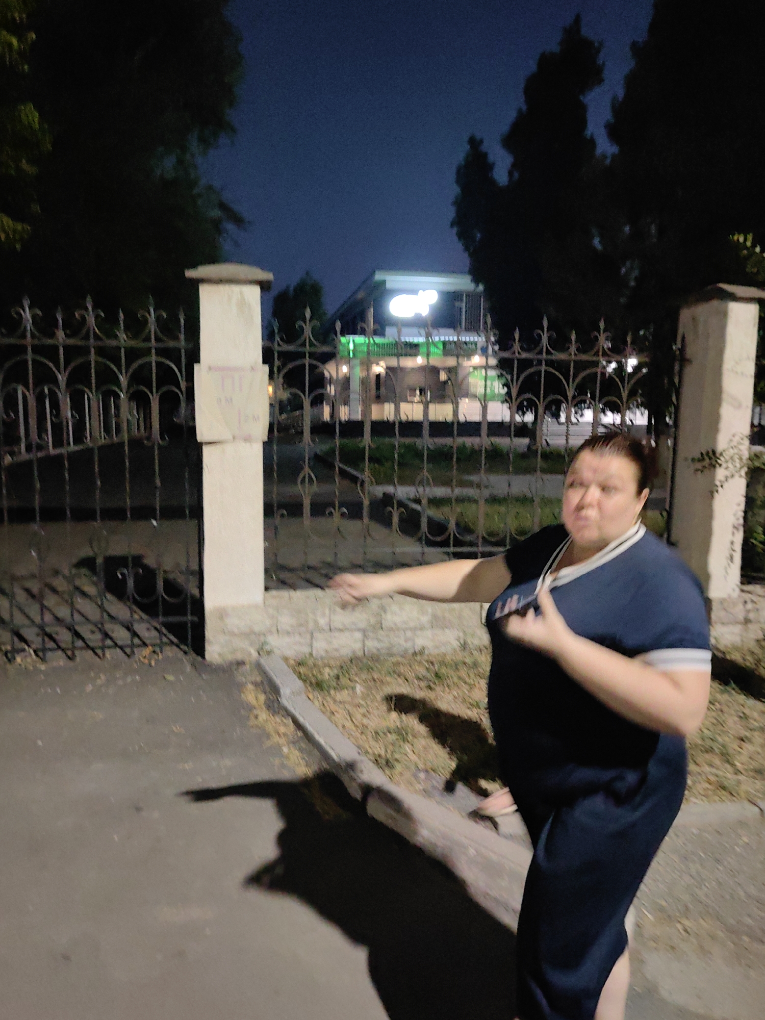 A woman in a dark blue dress stands in front of a black metal fence at night. The fence is supported by white pillars. Behind the fence, a building with illuminated signs is visible, along with silhouetted trees. The ground in front of the fence is paved, with a curb and dry grass to the side. The woman is facing left and appears to be gesturing. The image was taken in the city of Shymkent, Kazakhstan.