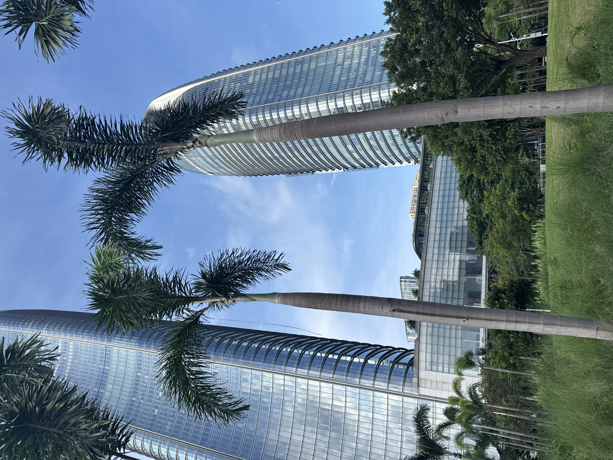 This image depicts a view of the Marina Bay Sands in Singapore, a complex of three hotel towers. Two of these towers are visible in the frame, one on the left and one on the right, both featuring sleek, glass facades that reflect the blue sky and surrounding clouds. In the foreground, several palm trees with their distinctive fronds partially obscure the buildings, adding a tropical element to the urban landscape. A lower, broader building with a glass facade connects the two main towers, and behind it, more greenery and trees are visible. The sky is clear with a few scattered clouds, indicating a sunny day. The overall scene is a modern urban environment with a blend of architecture and nature.
