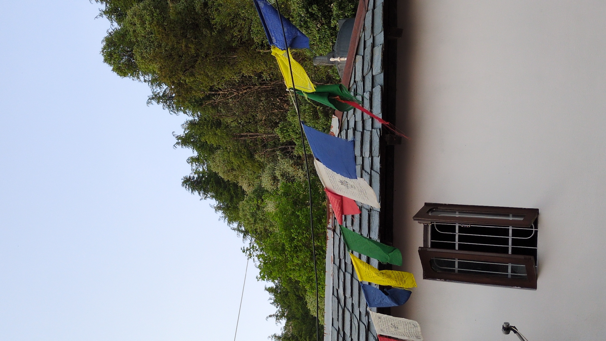 The image, taken in Haini, India, captures a quiet outdoor scene featuring a building's exterior against a backdrop of nature. A prominent string of colorful prayer flags, characteristic of Tibetan Buddhism (lungta), stretches horizontally across the upper mid-ground. These rectangular flags are arranged in traditional colors, including blue, yellow, green, red, and white, with some faint, unreadable text visible on the white and other flags.
Below the string of flags, part of a dark, shingled or tiled roof with a textured surface is visible, suggesting a local architectural style. To the right, on a light-colored (off-white or cream) wall, a small, open rectangular window is visible. The window has dark brown frames and an internal metal grill composed of horizontal bars.
The background is dominated by a dense expanse of vibrant green trees and foliage, indicating a lush natural or hilly environment. Above the trees and across the left side of the frame, the sky is a clear, light blue.
The scene depicts a calm daytime setting, likely morning or late afternoon, given the soft, shadowless light. There are no people or active events taking place, but the prayer flags lend a cultural and spiritual atmosphere to the location. The image blends man-made structures with natural elements.