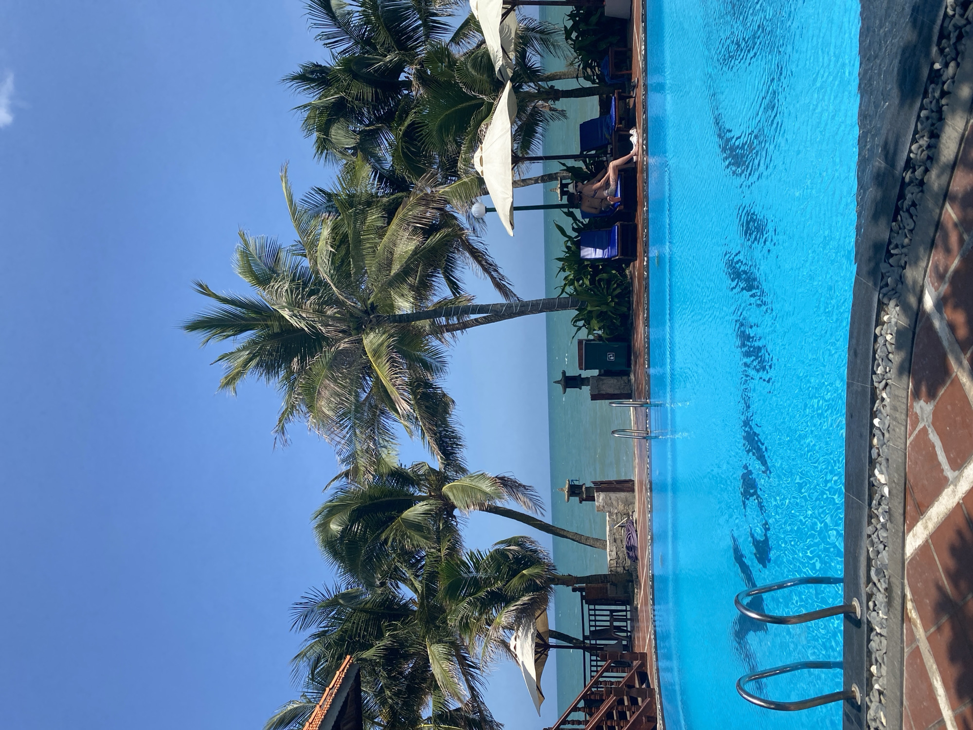 The image depicts a vibrant, sunny beachfront resort scene in Phu Thuy Ward, Vietnam, centered around a bright blue swimming pool. The upper portion of the frame is dominated by a clear blue sky, meeting a turquoise-green ocean in the middle ground, which displays ripples on its surface. Numerous green-fronded palm trees are scattered across the scene, particularly in the mid-ground, some leaning subtly.
In the foreground, a large, rectangular swimming pool with clear, rippling blue water occupies the lower half of the image. Two shiny silver ladders with curved handrails are positioned at the near edge of the pool, one on the left and one on the right. Dark shadows, likely from unseen overhead structures or palm trees, are cast onto the pool's surface and floor. The pool is bordered by a dark grey or black coping, which transitions to a strip of small, light-colored pebbles, and then to a reddish-brown tiled deck with an irregular pattern, also partially shadowed.
To the left of the pool, a wooden staircase with a railing descends from an elevated structure, part of which, an orange-tiled roof, is visible in the upper left corner. Along the oceanfront barrier, separating the pool area from the sea, are dark posts, some topped with decorative stone or concrete lanterns. A coiled blue hose or rope lies on the ground near one of these posts.
On the right side of the image, behind the pool and under the shade of two large, light-colored (beige or off-white) umbrellas, two individuals are relaxing on blue lounge chairs. One person is seated on the left lounge chair, facing the ocean, wearing light-colored attire and a hat. The second person is reclining on the adjacent lounge chair to the right, with a white towel placed near their legs. Both individuals appear to be adults. Green foliage and plants are visible in garden beds around the base of the palm trees and near the lounge area. A dark trash receptacle is visible near the rightmost umbrella.