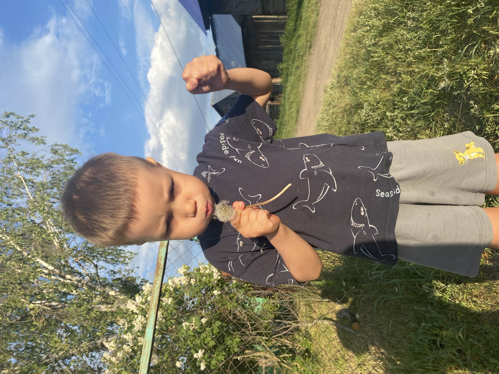 A young boy stands outside, facing the camera and holding a dandelion in his left hand near his mouth, while his right hand is raised in a fist. He wears a dark blue t-shirt with a white shark pattern and gray shorts with a small, yellow Lion King character graphic. A chain-link fence runs horizontally across the lower portion of the image, with white flowering bushes growing behind it. Grass is visible along the ground. In the background, there is a wooden building with a dark roof. Above, the sky is blue with scattered white clouds. A section of power lines stretches across the sky. This image appears to be taken in Noviy, Russia, based on the user's prompt.