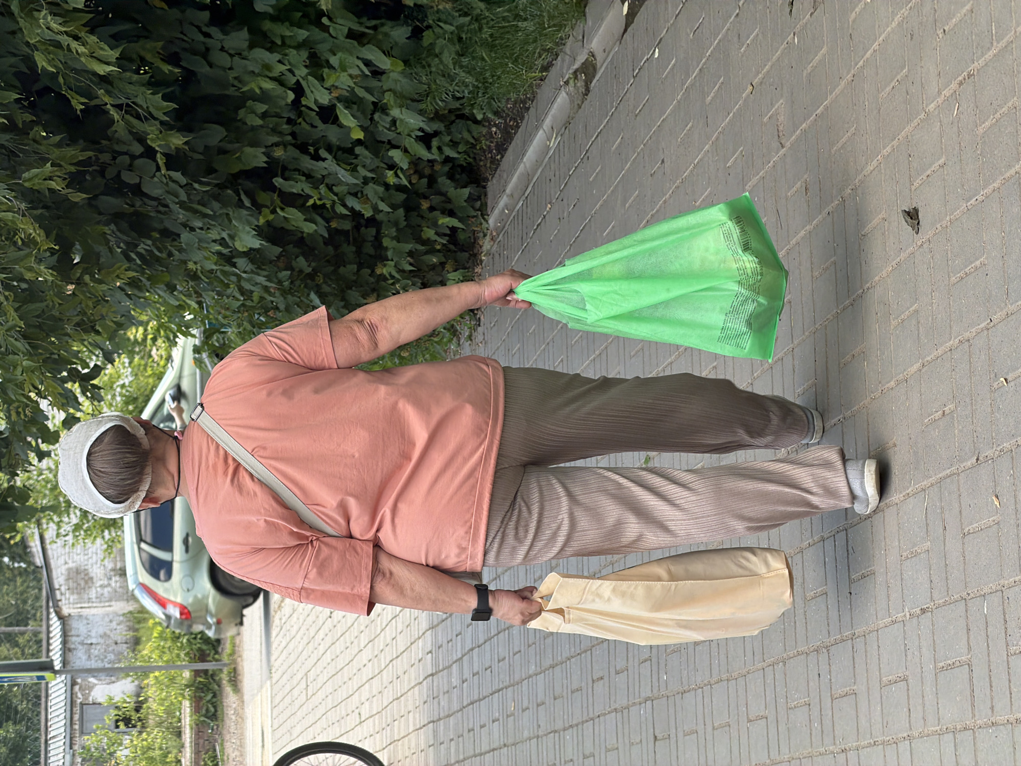 A person, viewed from behind and from the side, walks along a paved walkway. They are wearing a pink t-shirt, beige pleated pants, and a white hat. The person is carrying two shopping bags: a bright green one in their right hand and a cream-colored one in their left hand. A light-colored crossbody strap is visible over their shoulder.
The setting appears to be outdoors, with lush green foliage on the left side of the frame. A light-colored car is parked behind the person. The walkway is made of rectangular gray bricks. The image is oriented vertically, with the person walking from the bottom left towards the top right. The time of day appears to be daytime, with ample natural light. The weather seems pleasant, suitable for walking outdoors.
Some text is visible on the green shopping bag, but it is too small and pixelated to read clearly. There are no discernible emotions displayed due to the angle and framing of the shot. The location is identified as Chaikovsky, Russia. The overall scene suggests a person returning from shopping or running errands.