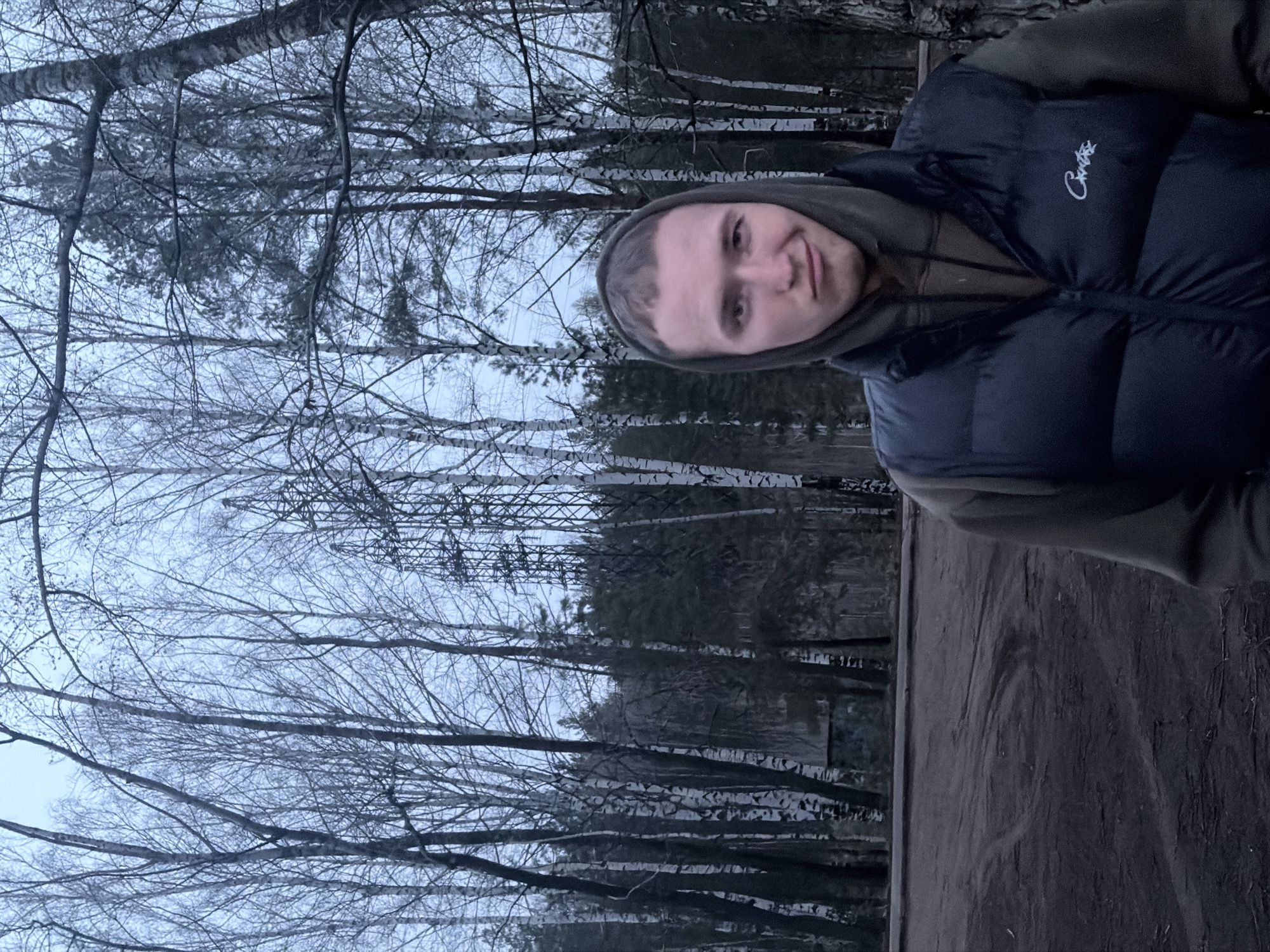 A young man is depicted in a close-up selfie, taken outdoors in a forest setting. He is positioned on the right side of the frame, looking directly at the camera with a slight, friendly smile. He wears a dark olive-green hooded sweatshirt under a black puffer vest. A white, stylized logo, possibly reading "Carhartt" or similar script, is embroidered on the left chest of the vest.
The background is dominated by a dense, bare forest. Numerous tall, slender trees with light-colored, possibly birch, trunks are prominent, their branches reaching up towards an overcast, pale grey sky. Further back, darker evergreen trees are also visible, suggesting a mixed forest. The ground in the bottom right corner appears to be a dirt path or natural terrain.
The scene suggests an autumn or winter day in Noviy, Russia, given the bare branches and muted light. The overall mood is calm and natural. No specific activity beyond posing for the photograph is evident.