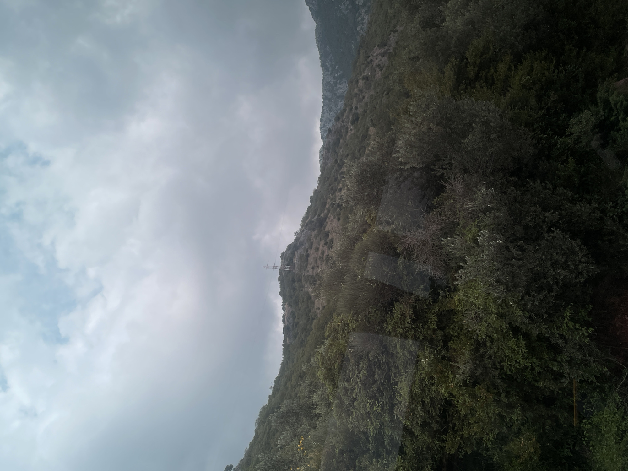 The original image, when viewed in a standard landscape orientation, presents a natural scene dominated by a cloudy sky and a heavily vegetated mountain or hillside. The upper portion of the frame is filled with an overcast sky, displaying various shades of grey and white clouds, with occasional hints of lighter blue.
Below the sky, a steep slope rises, covered in dense green foliage, primarily comprising trees and shrubs. Parts of the hillside show exposed rock formations. A notable man-made object, a tall, slender metal lattice structure, likely a power line pylon or communication tower, is visible on the upper part of the slope, contrasting with the natural landscape.
The weather appears to be overcast, with soft, diffused lighting and no direct sunlight. This contributes to a muted color palette for the landscape. The setting suggests a rural or mountainous area with significant natural growth. No people or visible text are present in the image. The crops provide closer views of the textured clouds, the rocky terrain of the hillside, and the intricate details of the dark green vegetation.