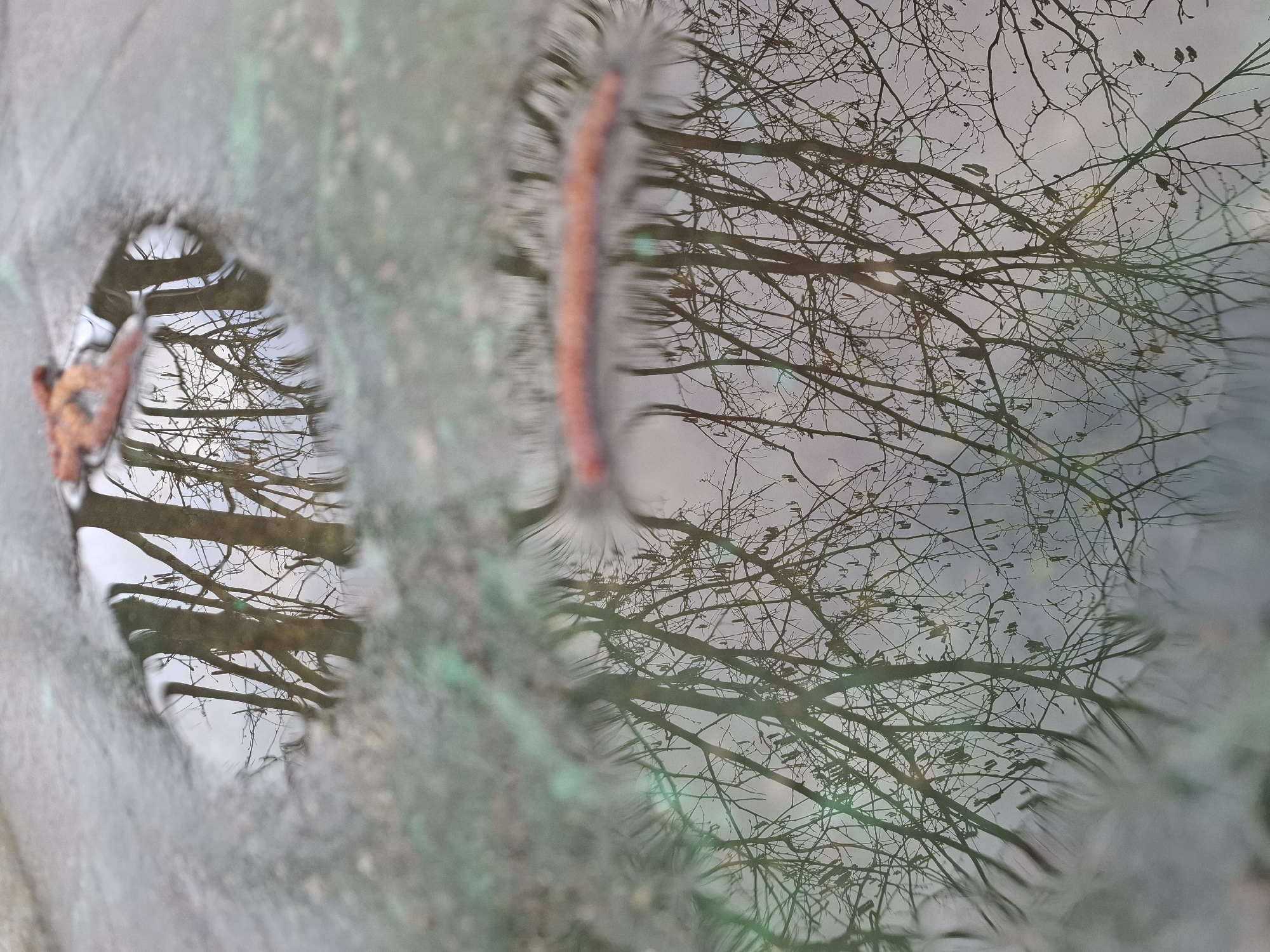 The image depicts a close-up view of puddles reflecting the sky and bare branches of trees. An orange leaf floats in the smaller, left puddle. In the larger, right puddle, an out-of-focus, elongated, reddish-brown object is partially visible. The ground around the puddles is a mottled gray and green. The reflections suggest a location with deciduous trees, likely in a park or residential area. The city of Khlevnoye, Russia, is stated as the location but this cannot be confirmed from the image alone.