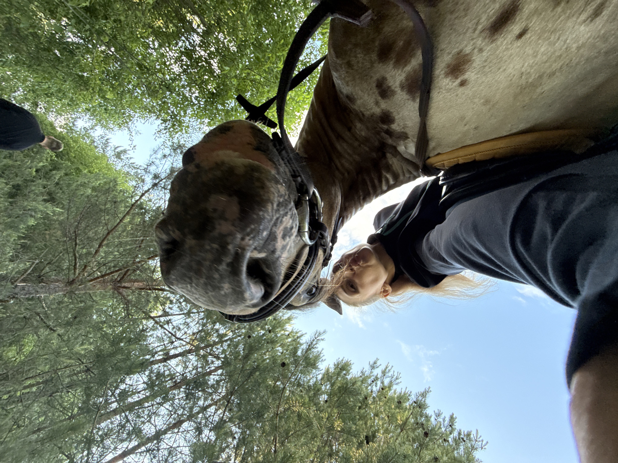 A low-angle shot captures a person riding a horse in a wooded area with a clear blue sky overhead. The rider, a young blonde female, is positioned above the horse, with her face turned towards the camera. The horse's head is prominently featured in the foreground, with its mouth open slightly and eyes visible. The horse is wearing a bridle. The rider is wearing a dark t-shirt. The background consists of dense green trees, some appearing to be pine trees, and a person in a black shirt walking away from the camera in the lower left corner. The lighting suggests it is daytime. There are no visible landmarks indicating a specific location within Chaikovsky, Russia.