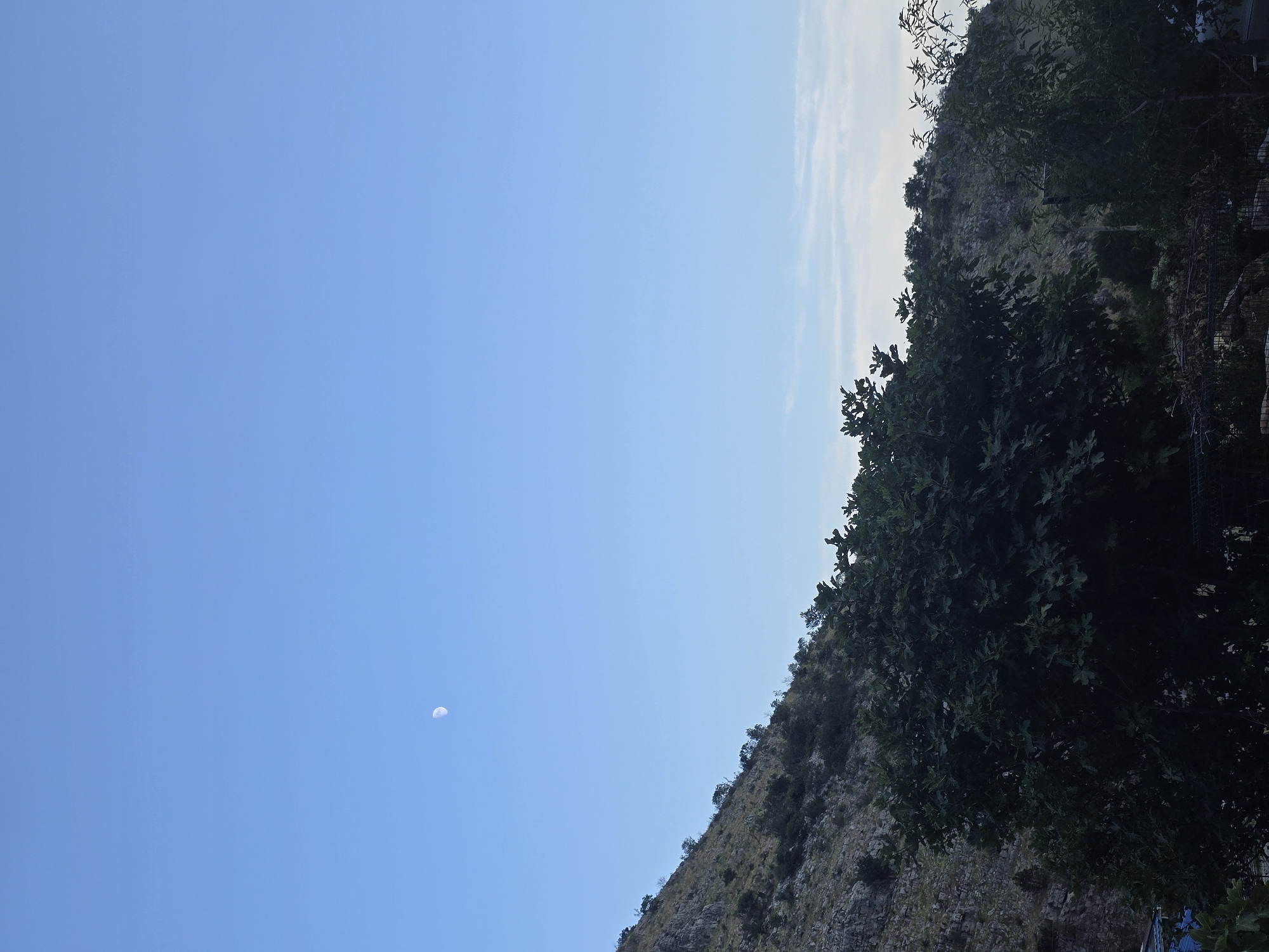 A nearly full moon is visible in the clear blue sky above a rocky, tree-covered mountainside. In the foreground, dense green trees obscure the lower portion of the image, with hints of structures and fencing visible beneath them. The scene appears to be an outdoor landscape, possibly in a rural or mountainous area.