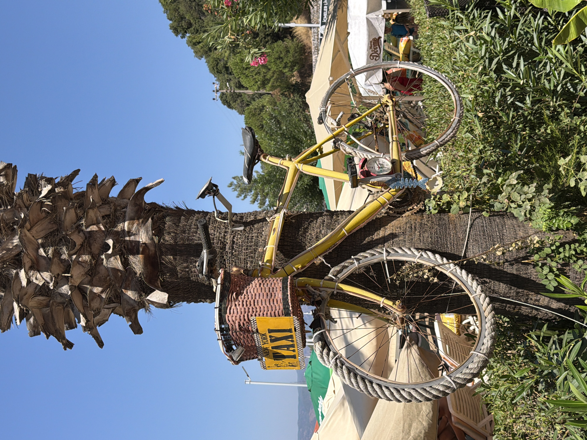 A yellow bicycle is mounted to the trunk of a palm tree. The bicycle has a wicker basket on the front, containing a yellow sign with "TAXI" written on it in black. The bicycle's front wheel is wrapped in thick rope. Behind the bicycle, there are beach umbrellas, lounge chairs, and foliage. In the background, a blue sky and green trees are visible. The scene is likely located in the city of Marmaris, Turkey, given the presence of beach umbrellas and foliage typical of coastal tourist areas.