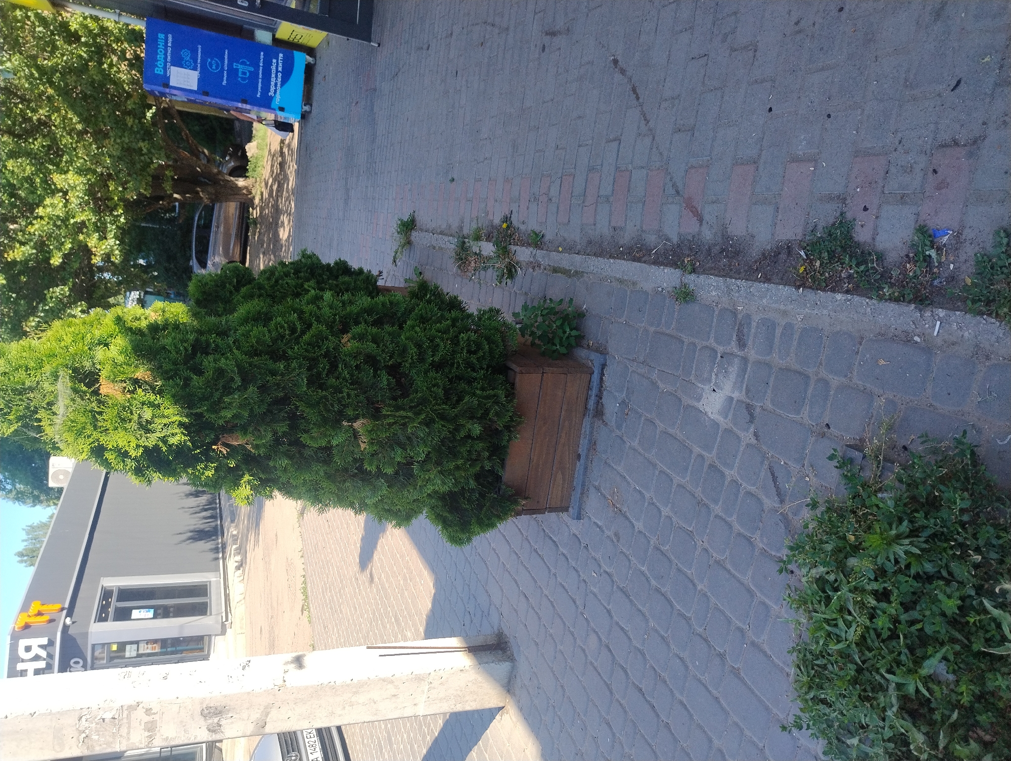 The image shows a sidewalk lined with trees in wooden planters. To the left, a grey concrete pillar stands. Beyond the pillar, a building with a dark facade and large windows is visible. A car is parked in front of the building. To the right, a blue vending machine with text in Ukrainian is situated next to a building. The sidewalk is paved with interlocking stones. There is green vegetation growing along the edge of the sidewalk and in some cracks between the stones. The scene appears to be a street in a city.