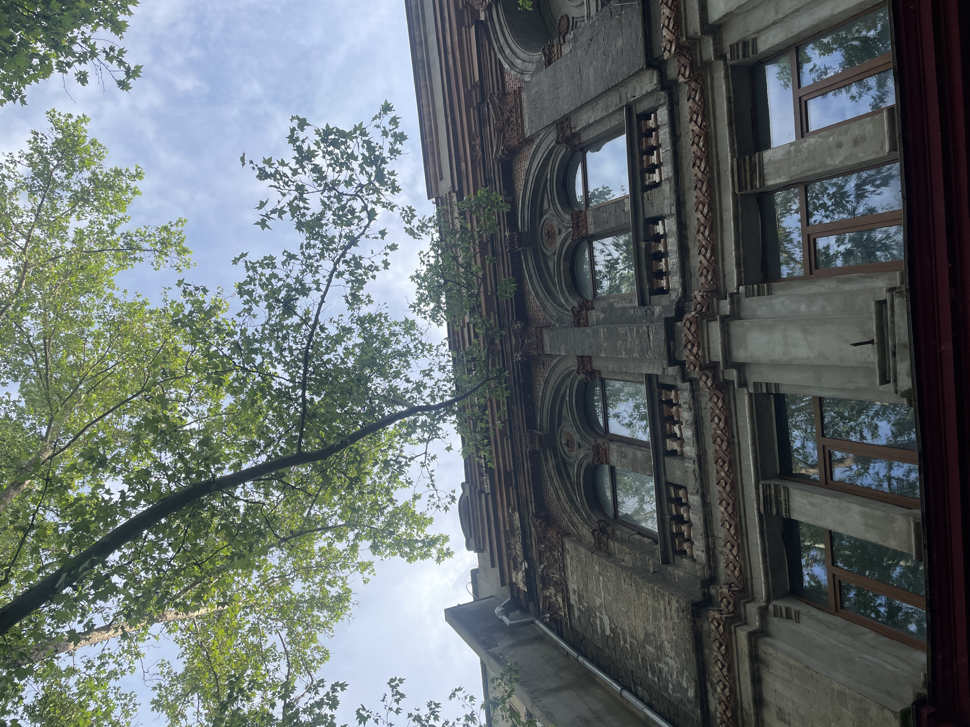 The image is a low-angle shot of a multi-story building facade taken in Mykolaiv, Ukraine. The building exhibits deteriorating architectural details, including arched windows, decorative molding, and brickwork. Some windows are boarded up, while others have modern window frames and reflect the sky and trees. A mature tree with green leaves partially obscures the facade. The sky is visible between the leaves, with some clouds present. A metal gutter runs along the side of the building.