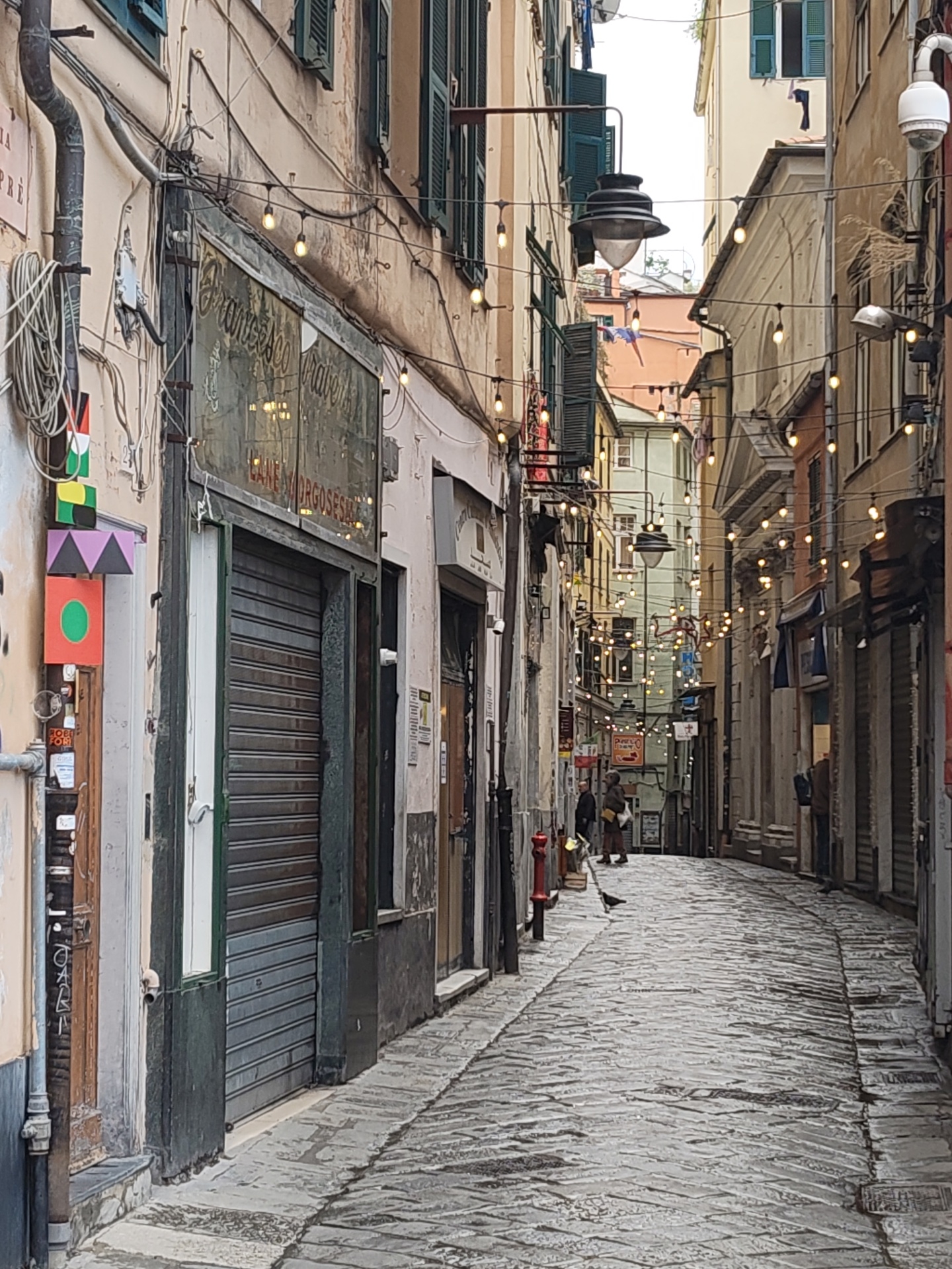 A narrow cobblestone street, draped with strings of lights, cuts through a dense urban setting. The facades of buildings, aged and worn, line the street on either side. Most businesses are closed, their shutters drawn. Two people stand near the end of the street. A bird stands on the cobblestone street. The architecture and lighting suggest a historical part of a European city, likely Genoa, Italy.