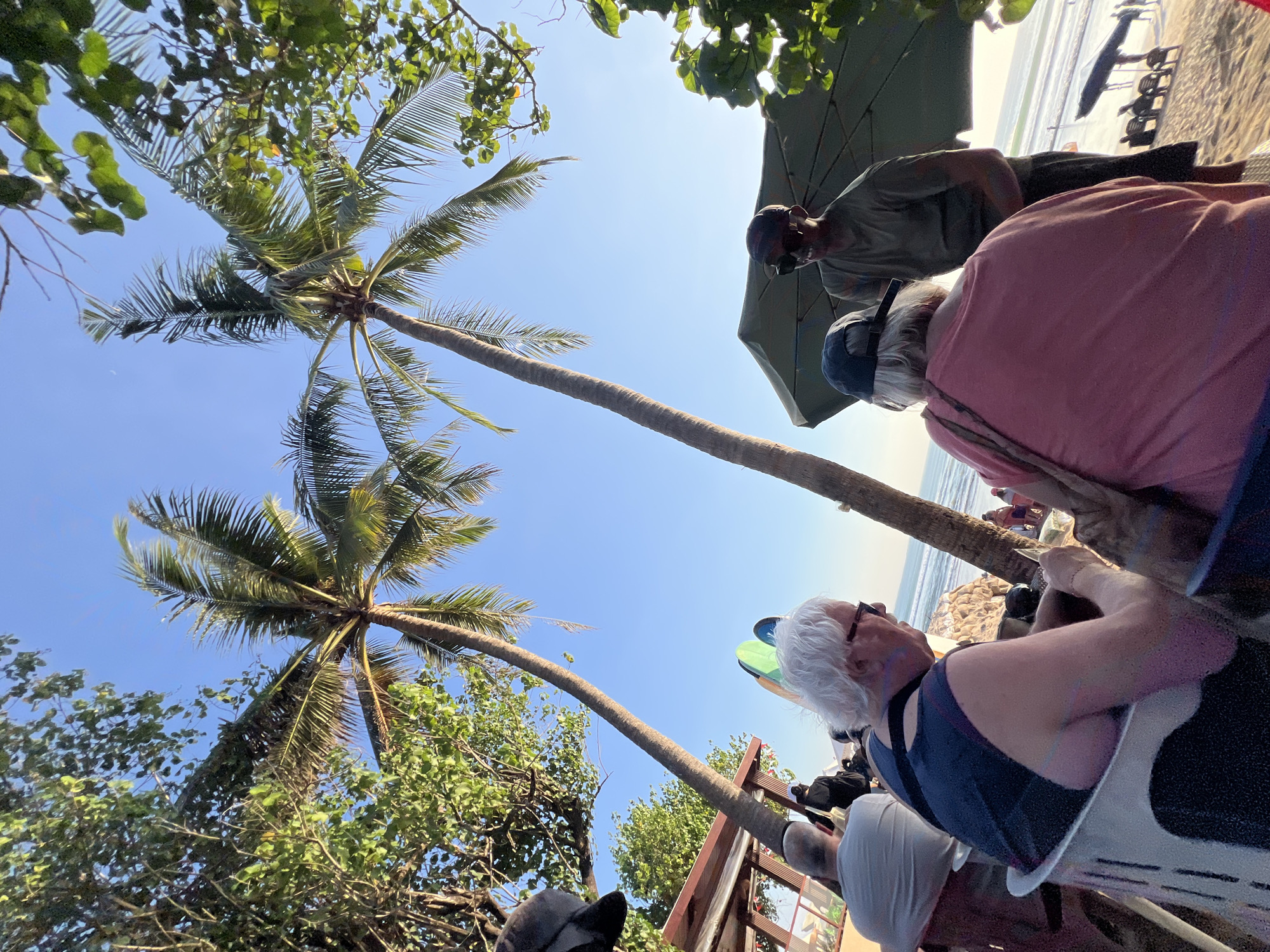 This image captures a scene on the beach in Kuta, Indonesia, under a clear blue sky with palm trees framing the view. Several people are seated and standing, appearing to be at an outdoor dining area near the beach. In the foreground, an older woman with white hair and glasses is seated in a white chair, looking down at her phone. To her right, a person wearing a dark baseball cap and a green t-shirt stands under a large green umbrella. Behind them, another older person with white hair is seated, facing away from the camera. In the background, the ocean and beach are visible, with beach chairs and surfboards. The overall impression is a relaxed, outdoor setting, likely a restaurant or cafe on the beachfront.