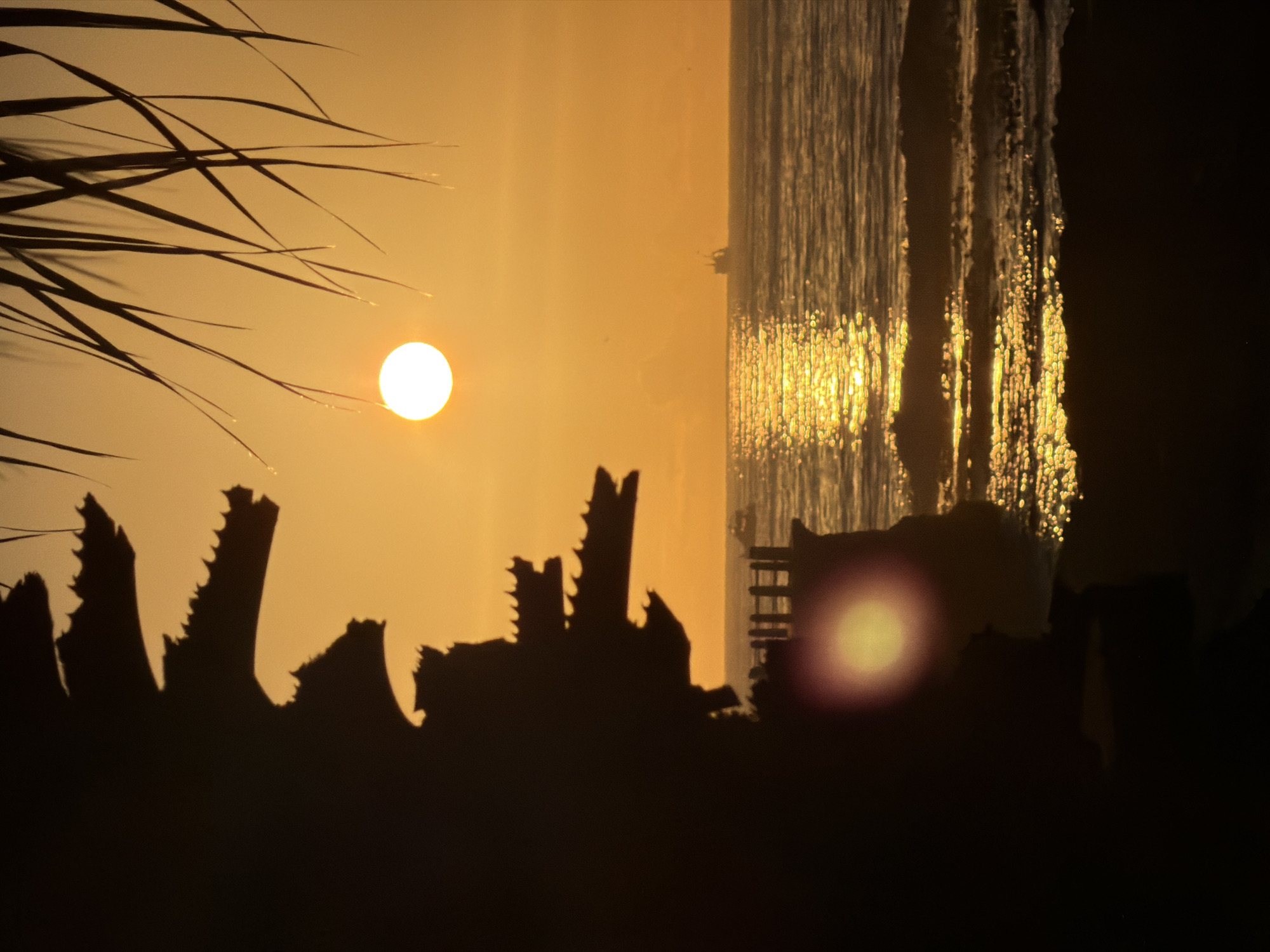 The image shows a beach scene at sunset in Cape Town, South Africa. The sun is a bright orb in the orange sky, partially obscured by the fronds of a palm tree in the upper left. Silhouetted against the sun are dark, jagged shapes that appear to be vegetation or possibly buildings in the foreground. To the right of the sun, the ocean is visible as a vertical band of light reflecting the sun's glow. There is a blurred light spot which could be light reflecting off the water. A pier is visible in the distance. The overall tone is one of warmth and contrast between light and shadow.