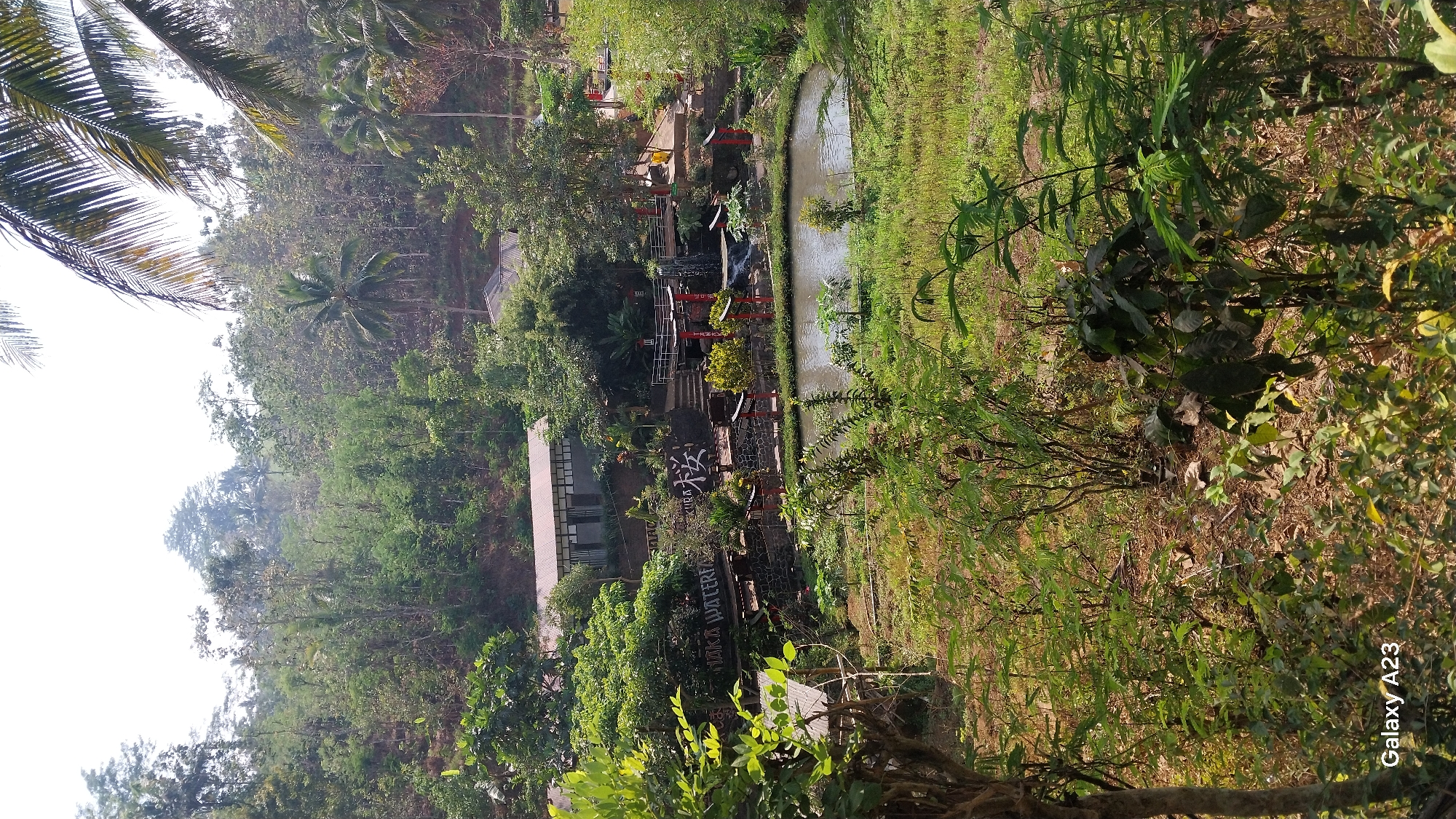 The image depicts a scenic view of a park or recreational area, likely named "NAKA WATERFALL" as suggested by signage. The location is identified as Bangelan, Indonesia. The scene is characterized by lush greenery, with trees and vegetation dominating the landscape. In the foreground, there are various plants and bushes. A body of water, possibly a pond or a small lake, is visible in the midground, with a small waterfall cascading into it. Several structures, including buildings with white roofs and what appear to be red torii gates, are scattered throughout the area. There is also a stone wall and a wooden bridge. The overall environment suggests a natural and tranquil setting, possibly a tourist destination given the signage and the presence of architectural elements. The sky is bright, indicating daylight. No people are visible in the image.