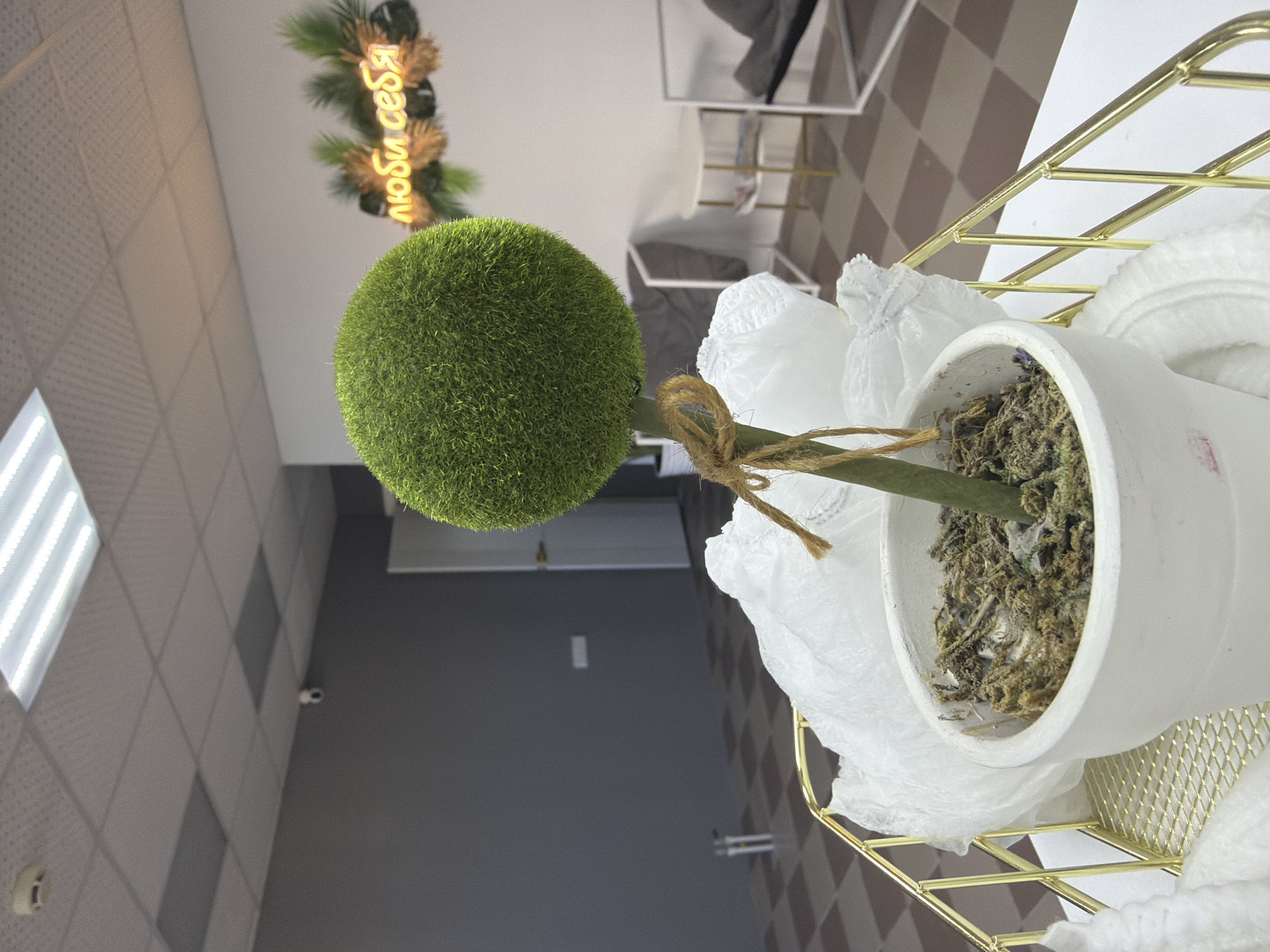 A synthetic topiary in a white pot sits in a gold-colored wire basket. The surrounding environment includes a checkered ceiling and wall in the background, along with a white ceiling with recessed lighting on the left side of the image. A lighted sign with Russian text hangs in the background. The topiary is a green sphere atop a brown stem, tied with a twine bow. The location appears to be an interior space in what could be a commercial building or salon, but the city of Pyskor, Russia cannot be confirmed.