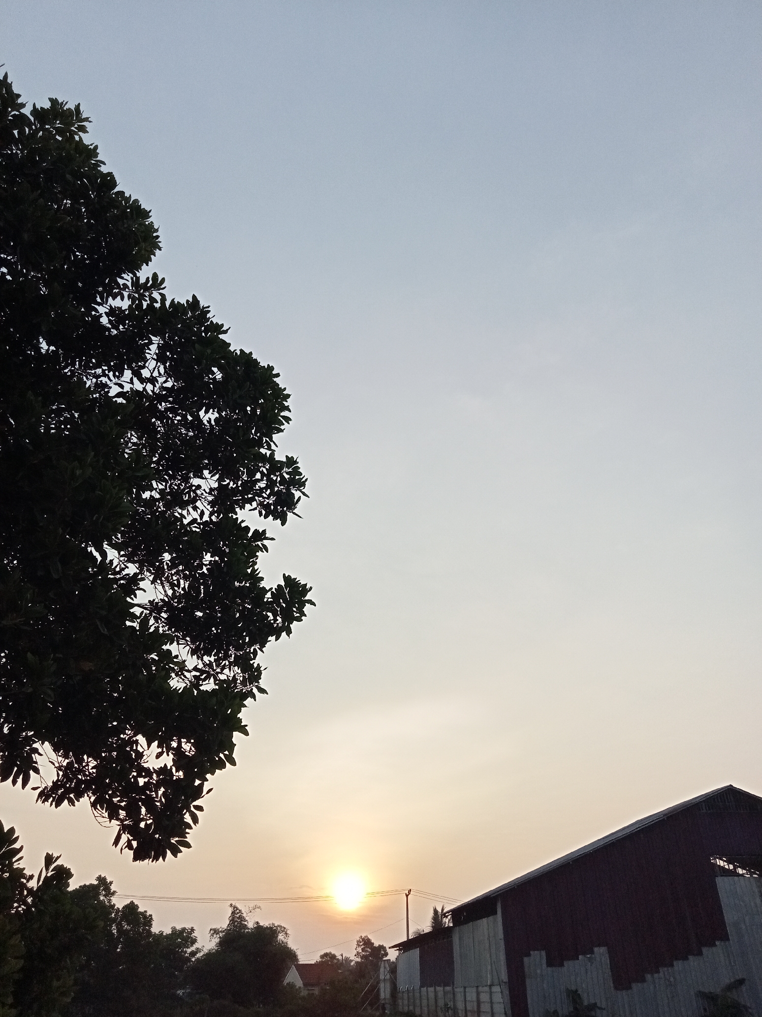 This is a photograph taken from Teluk Kenidai, Indonesia, featuring a silhouetted tree branch in the upper left quadrant against a pale sky. In the lower right quadrant, the roofline of a long, dark-colored building with corrugated metal siding is visible, partially obscuring the horizon. A bright, circular sun is low in the sky, positioned between the tree and the building. Several utility wires are visible horizontally across the scene. The overall impression is of a rural or semi-industrial setting at dusk or dawn.