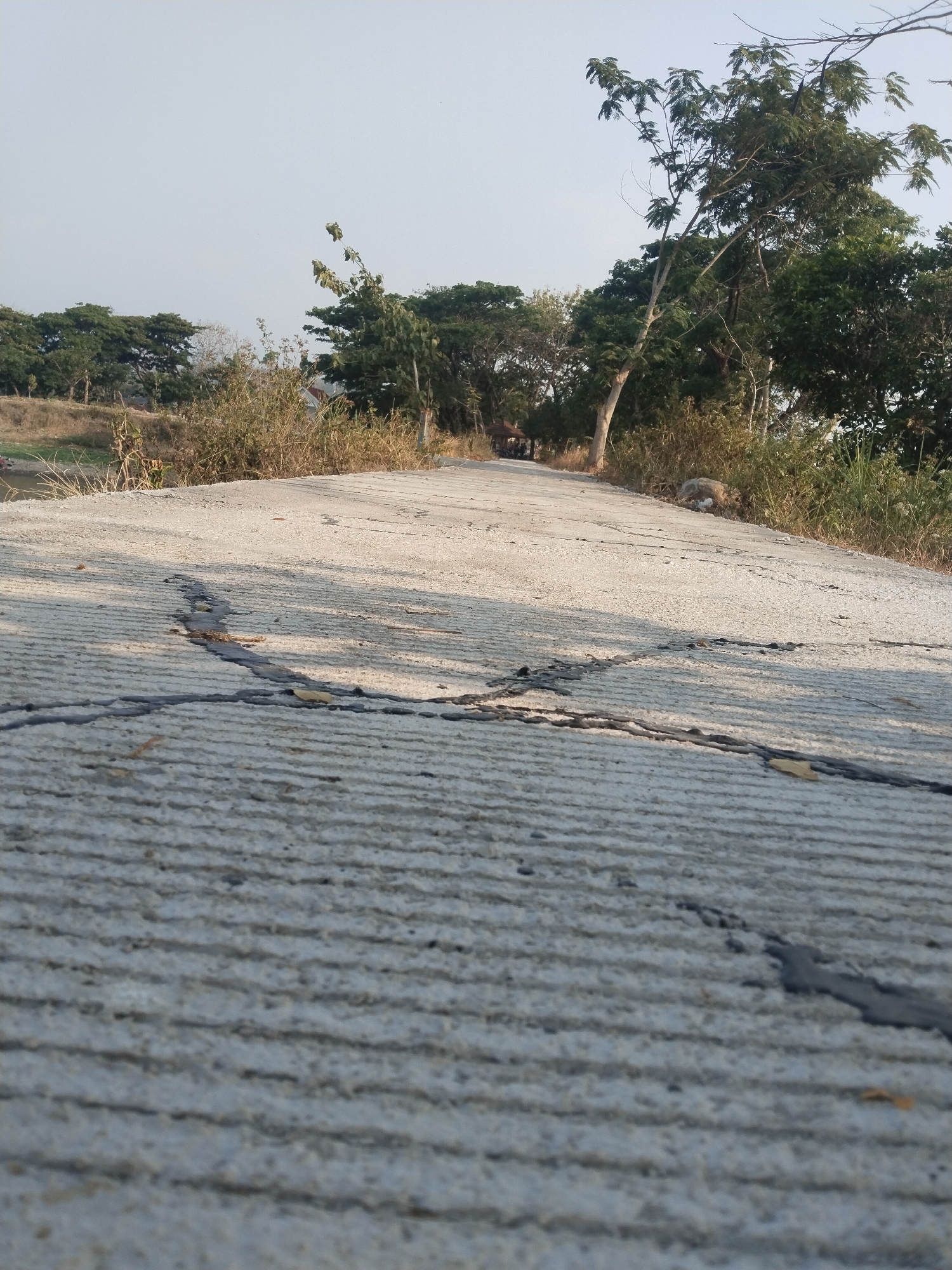 The image depicts a close-up, low-angle view of a concrete road in Sambirejo, Indonesia. The road has a textured surface with parallel grooves and visible cracks filled with dark material. Sunlight casts shadows across the road, indicating it is likely daytime. In the background, a line of trees and dry vegetation borders the road, with a light-colored sky overhead. A small, dark structure, possibly a shelter, is visible in the distance on the left side of the road. The scene appears to be an outdoor, rural or semi-rural environment.
