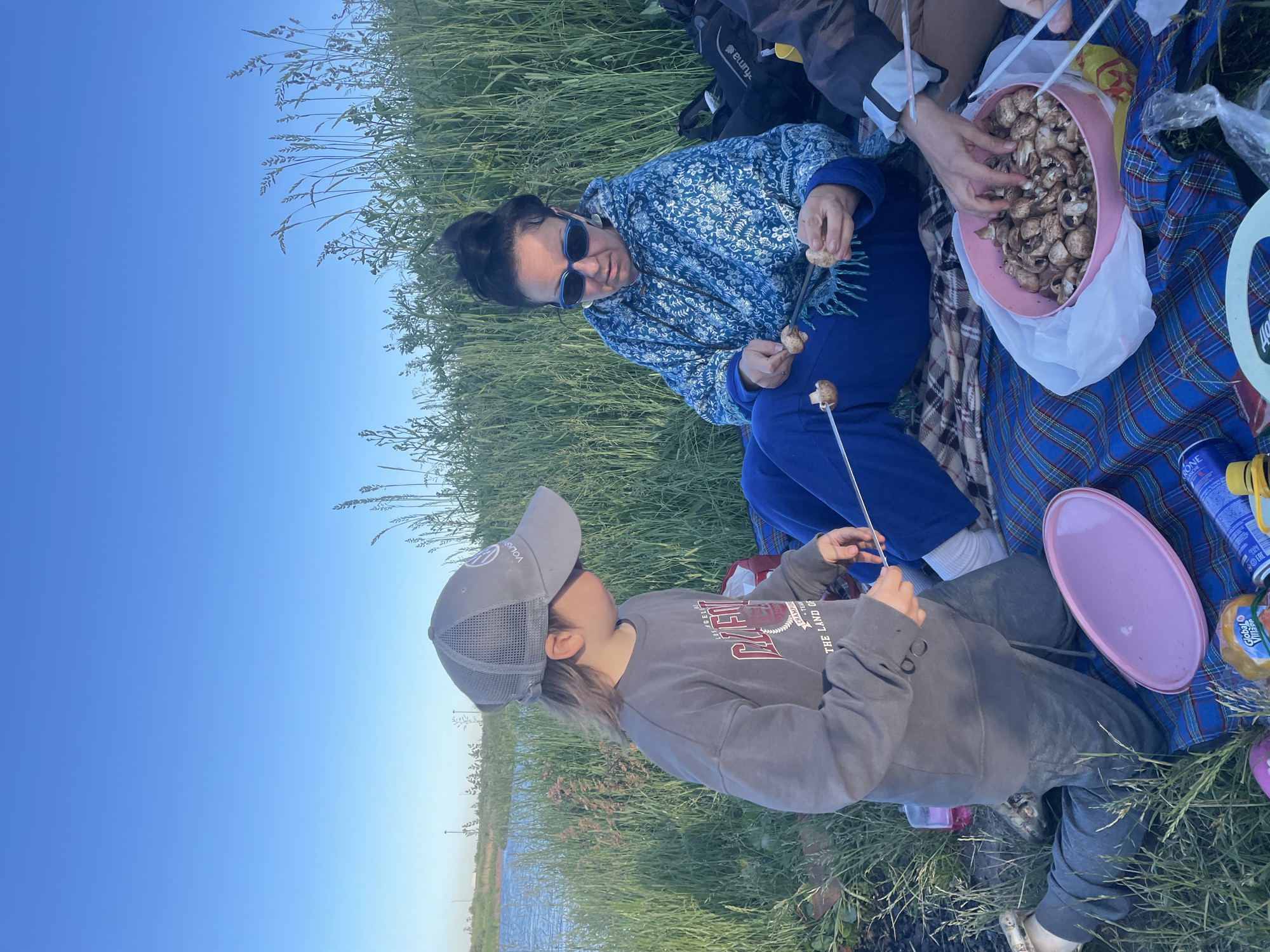 An overhead shot captures a family enjoying a picnic by a body of water, surrounded by lush green grass and reeds under a clear blue sky. A young child, wearing a grey t-shirt, grey pants, and a grey baseball cap, kneels on a blue and plaid blanket, holding a metal skewer with mushrooms. Beside them, a woman in a blue patterned hoodie and blue pants is seated, also holding a skewer with mushrooms, looking down at the food. A pink bowl filled with mushrooms is in front of her, and other picnic items, including a can and a plastic bag, are scattered on the blanket. The background features a calm body of water and a distant shoreline with sparse vegetation. This scene likely takes place on the outskirts of Saint Petersburg, Russia, given the common picnic spots near the city's many rivers and lakes during favorable weather.