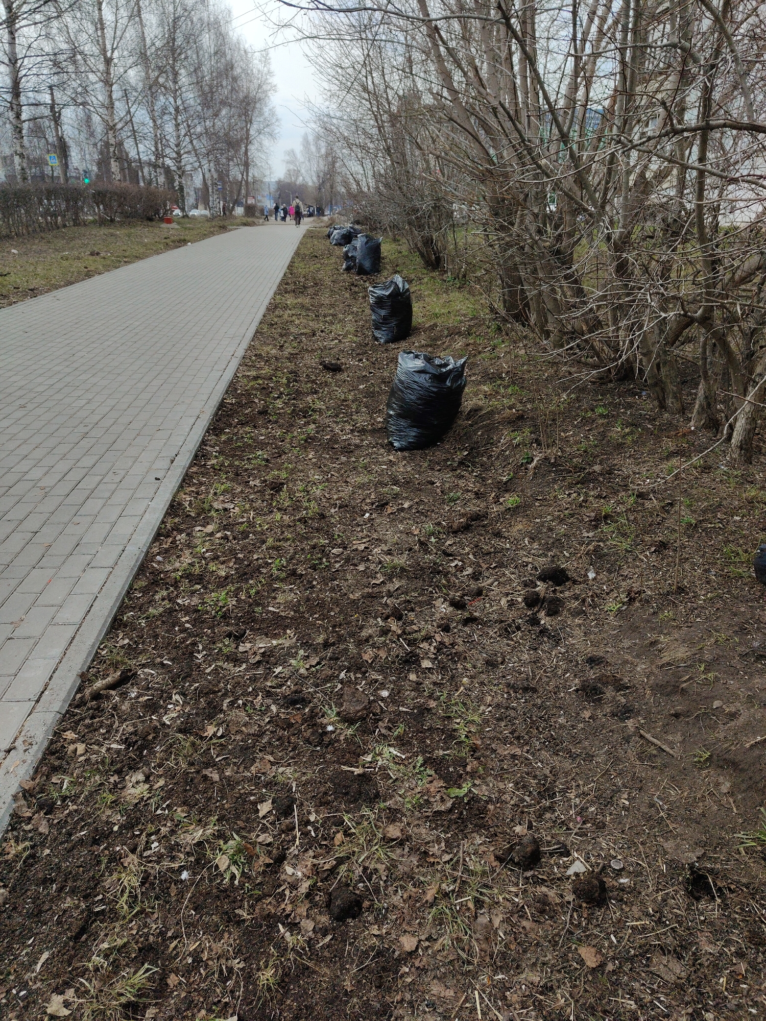 The image shows a street scene with a sidewalk made of gray interlocking blocks running alongside a patch of dirt and foliage. Several large black plastic trash bags are positioned along the edge of the dirt patch, near a row of bare bushes. In the background, a group of people is walking along the sidewalk. Trees with bare branches are visible in the distance. The ground is covered with dirt, fallen leaves, and some sparse green grass.