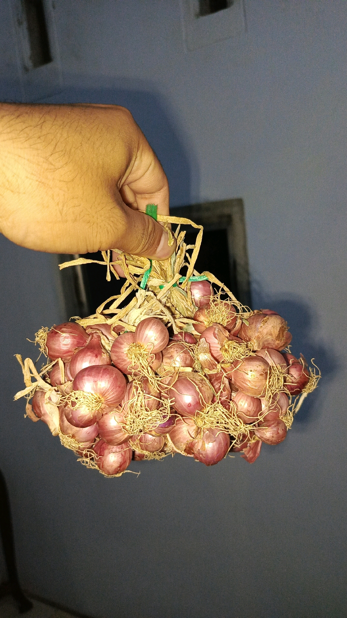 A person's hand holds a bunch of red onions tied together with straw and green string. The onions are small and round, with visible roots and papery skins. The background is a muted blue wall with a dark rectangle, possibly a window or doorway, slightly out of focus. The lighting suggests an indoor setting.