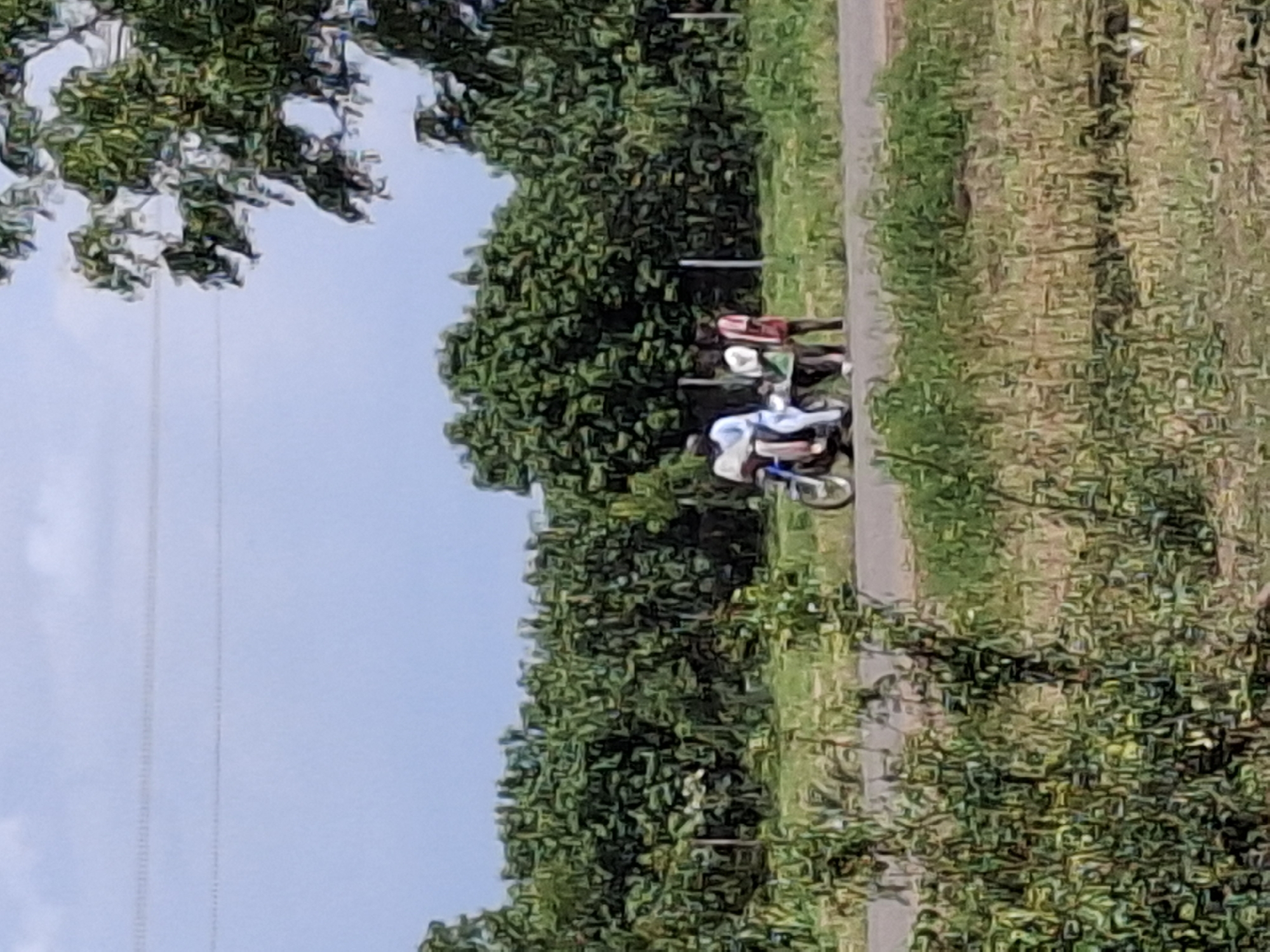 An outdoor scene shows a paved road with lush green trees on either side and a clear sky above. In the middle of the road, a man wearing a white robe is seated on a motorcycle, which is carrying another person. To the right of the motorcycle, two young individuals stand, one wearing a white shirt and the other a red and white striped shirt. The environment suggests a rural or semi-rural setting in Batungo, Nigeria.