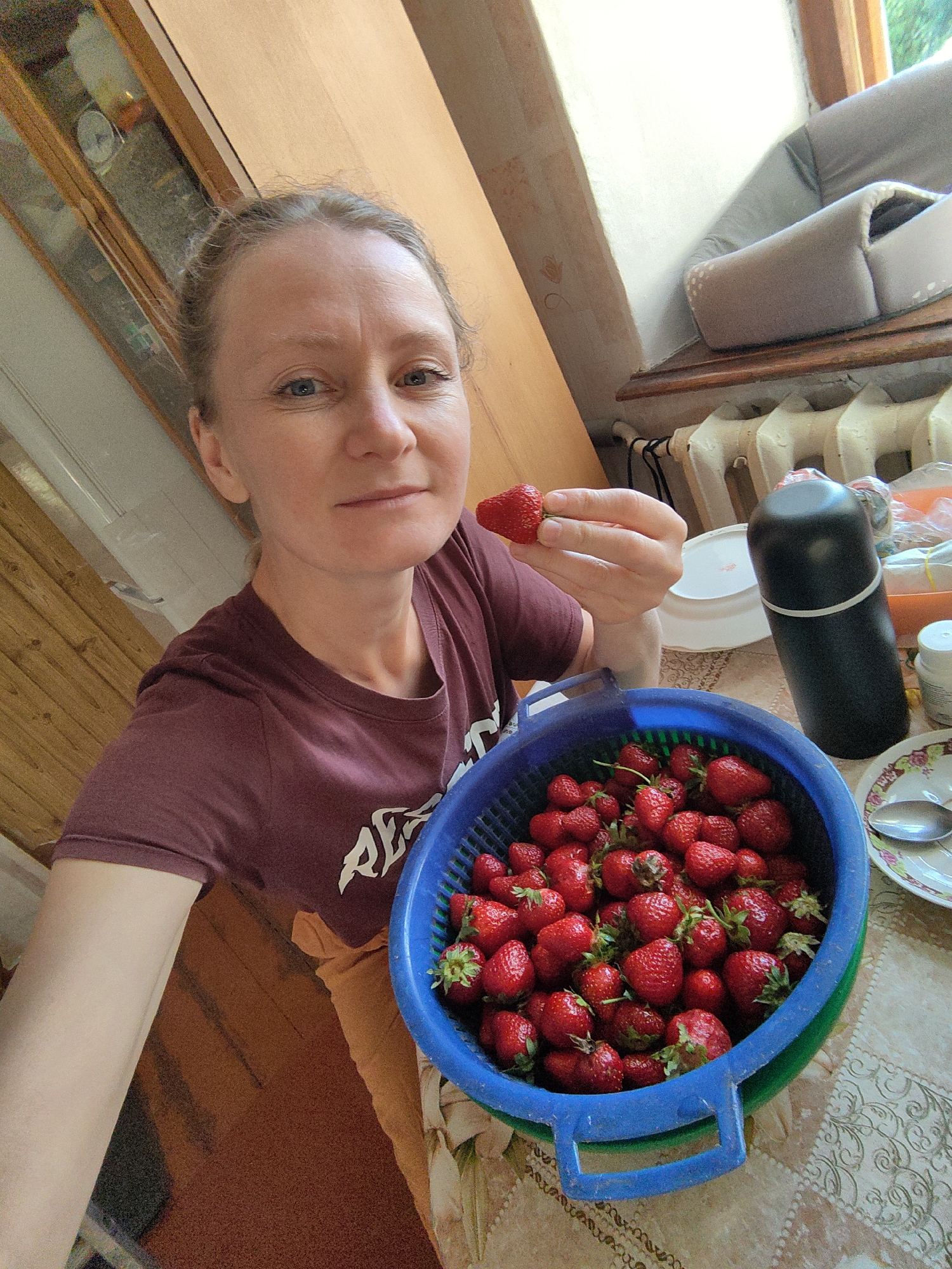 A woman with blonde hair, wearing a maroon t-shirt, is taking a selfie in a room. She is holding a strawberry in her right hand, near her mouth, and a large blue colander filled with strawberries is in front of her. The room appears to be a kitchen or dining area, with a wooden cabinet and a radiator visible in the background. The overall lighting suggests it is daytime. The location is identified as Zuyyske rural settlement, Ukraine.