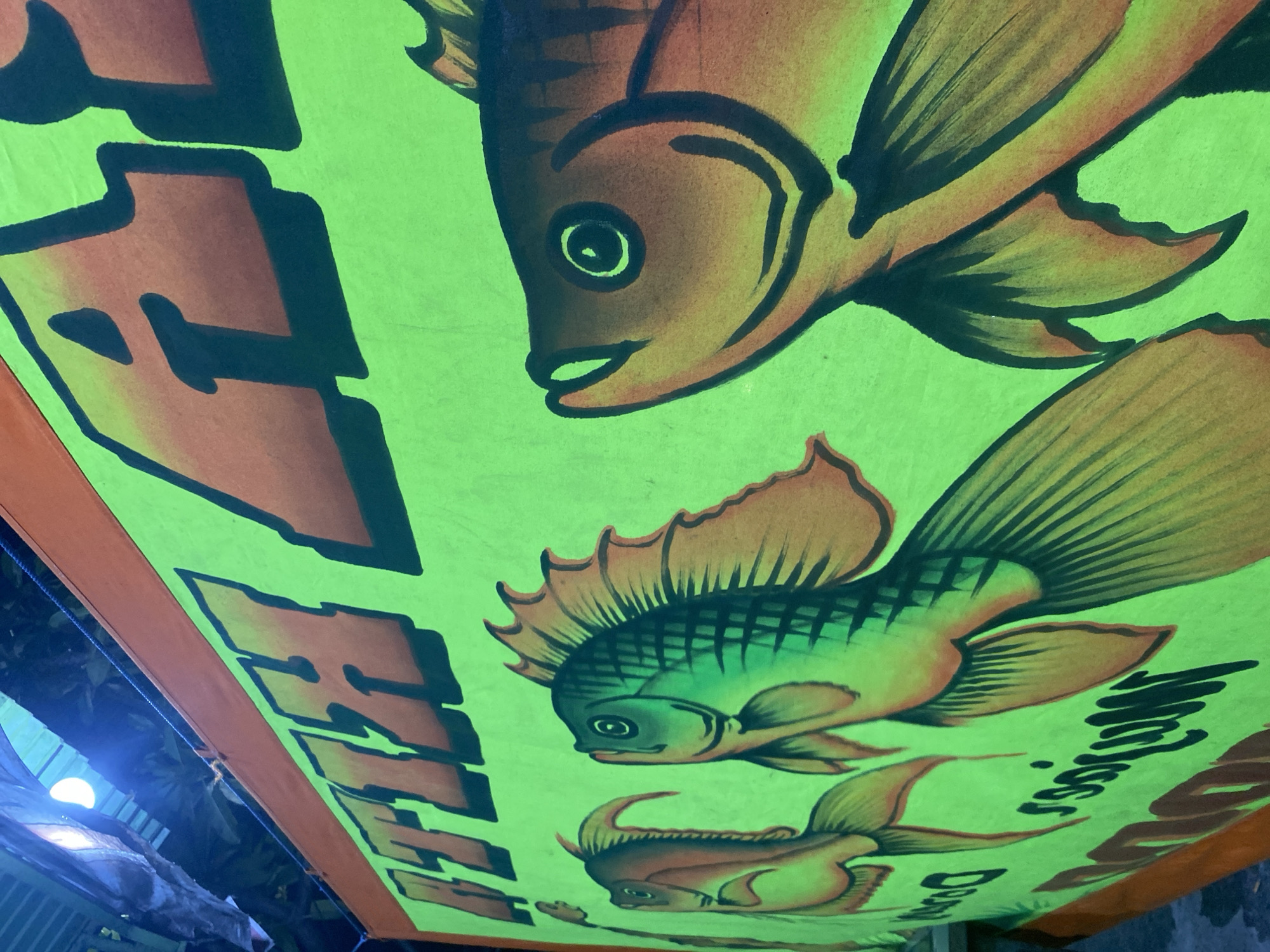The image shows a vibrant green banner featuring illustrations of three fish and bold, orange text. The fish are depicted in shades of orange, green, and brown with black outlines, and they appear to be swimming. The banner is framed with an orange border and the text seems to be in a stylized font, partially cut off by the edge of the frame. The photograph is taken from a low angle, looking up at the banner, which is under an awning of some kind. In the lower left corner of the image, there's a glimpse of what appears to be an artificial light source and some foliage, suggesting an outdoor or semi-outdoor setting. The scene is located in North Kuta, Indonesia, based on contextual clues in the text on the banner.