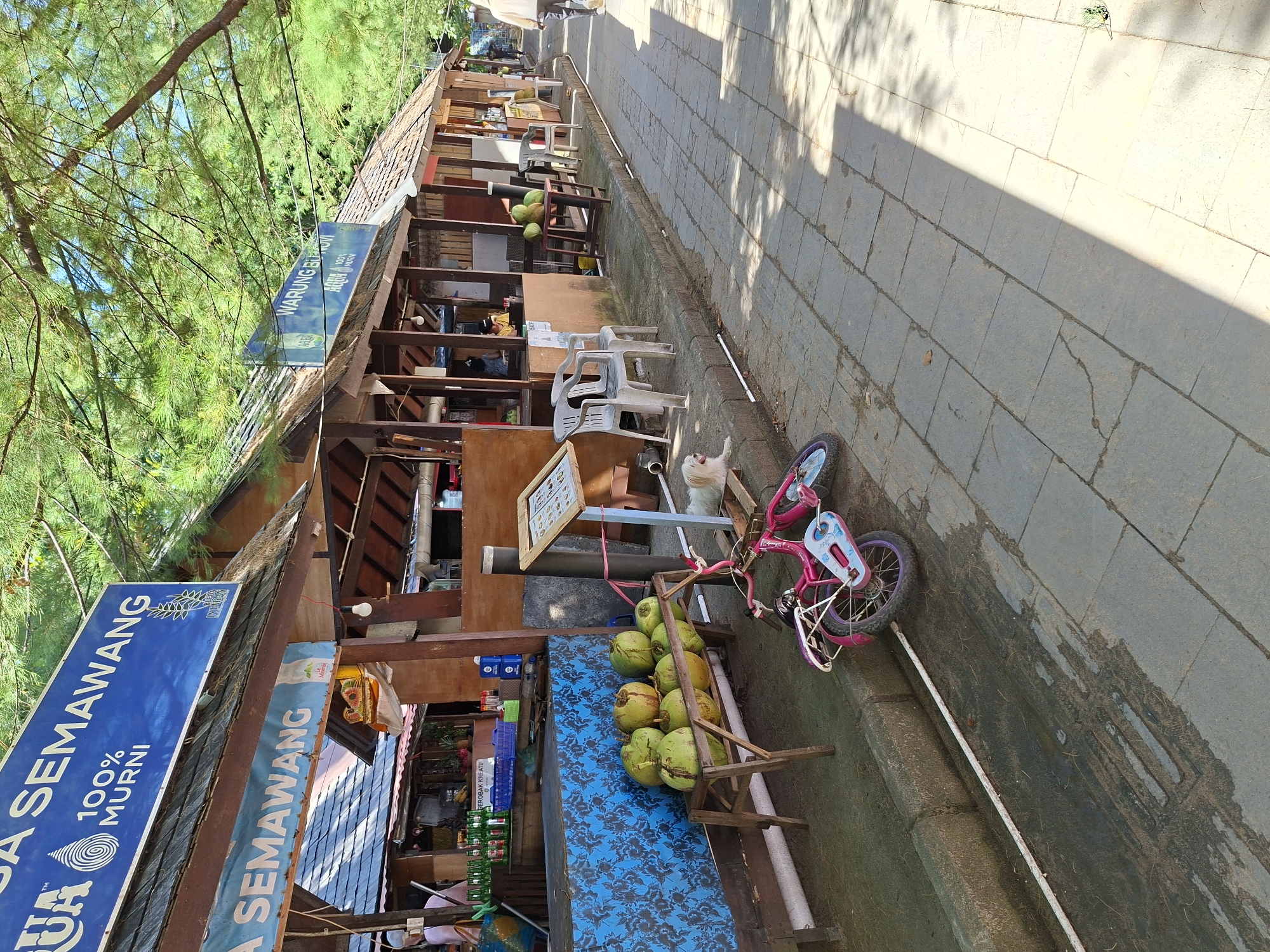 The image shows a street scene in what appears to be a commercial area, likely in Denpasar, Indonesia. A row of small shops or stalls with thatched roofs lines one side of a paved walkway. These stalls seem to sell drinks and other items. A sign above one stall reads "AQUA SEMAWANG 100% MURNI". Another sign reads "WARUNG BUROVI AQUA 100% MURNI". A small child's pink bicycle is parked against the curb. Coconuts are piled up next to the bicycle. A white dog is present next to the chairs. The pathway is constructed of grey paving stones. Shadows from trees suggest the scene is outdoors in daylight. The overall impression is of a local, outdoor market or shopping area.