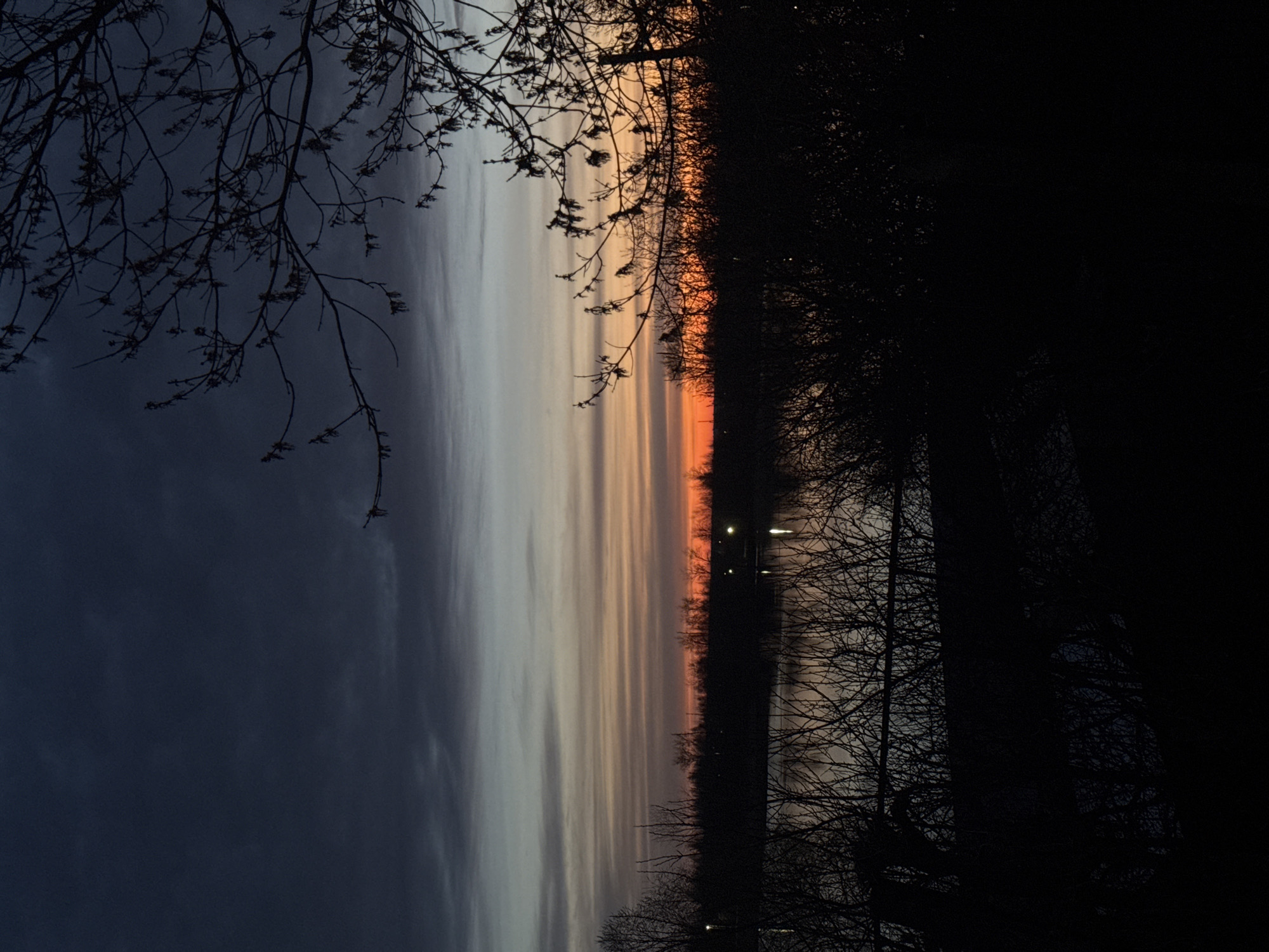 A landscape photograph taken in Bol'shoye Kozino, Russia, shows a sunset sky with layered clouds transitioning from dark blue to orange hues. Silhouetted tree branches occupy the foreground and right side of the frame, obscuring details on the ground. Two faint lights are visible in the distance, possibly reflecting on a body of water. The image is oriented vertically.